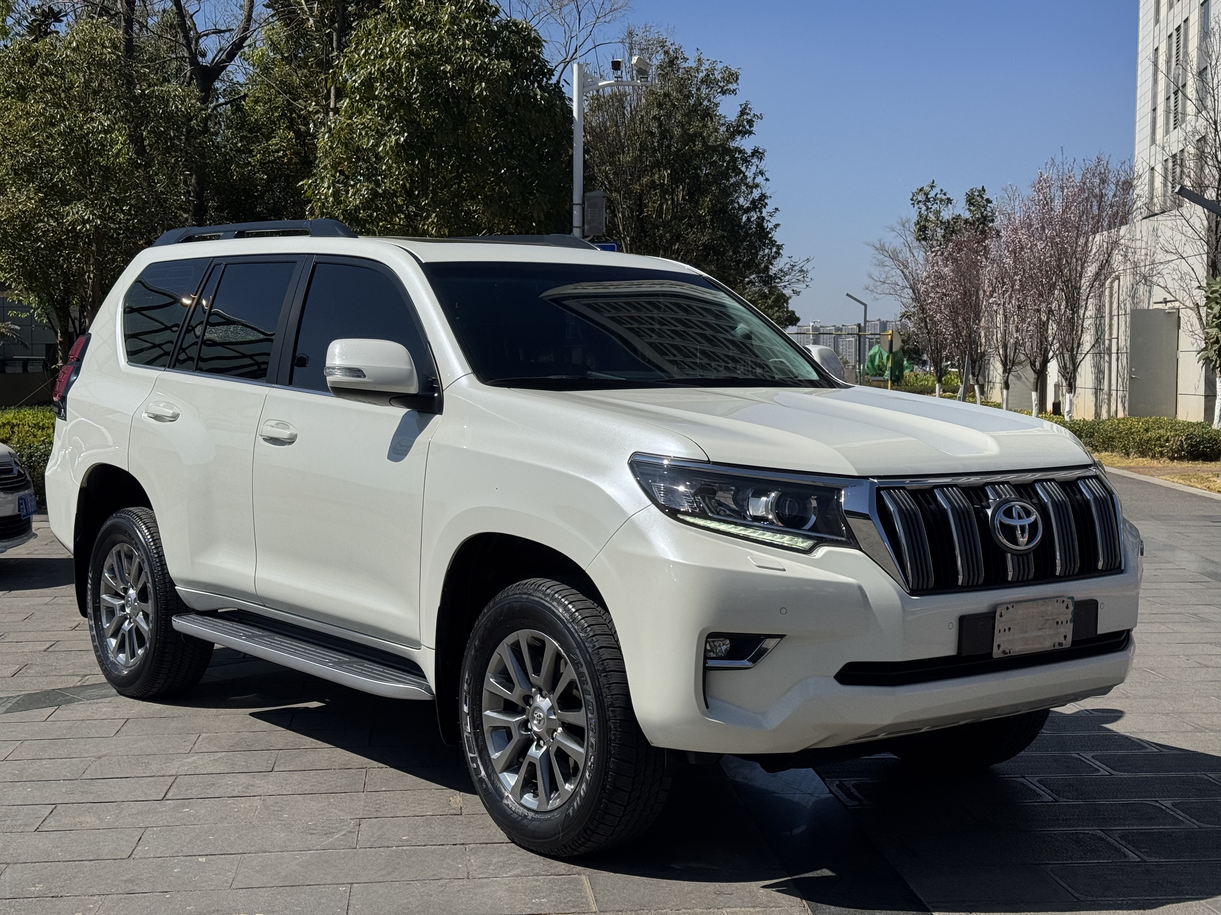 Toyota 2019 #8 Toyota 2019 car image #8