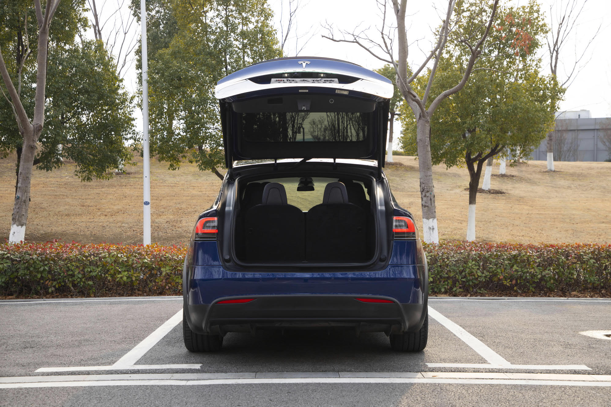 特斯拉 Model X 2019 汽车图片 #8