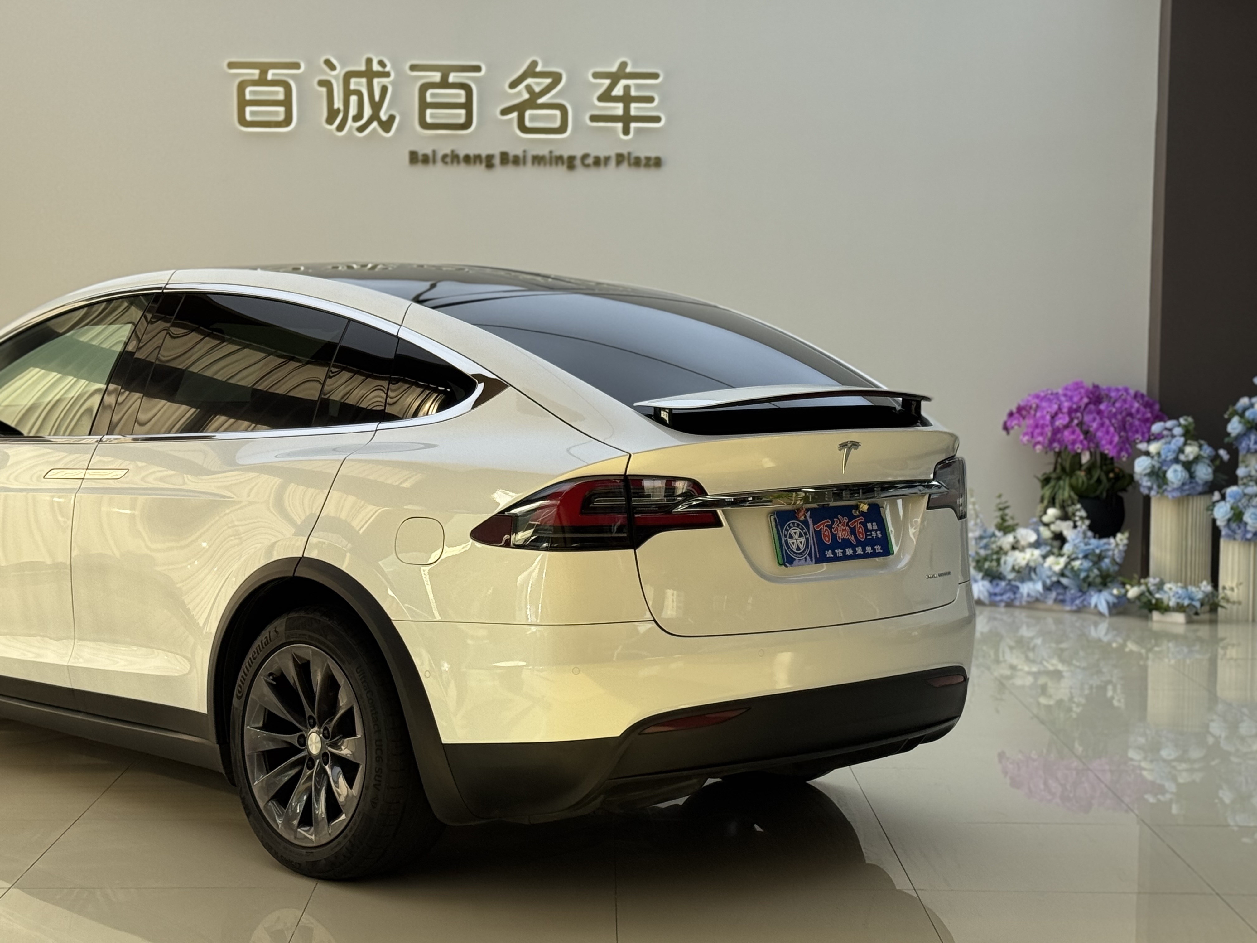 Tesla Model X 2020 #8 Tesla Model X 2020 car image #8