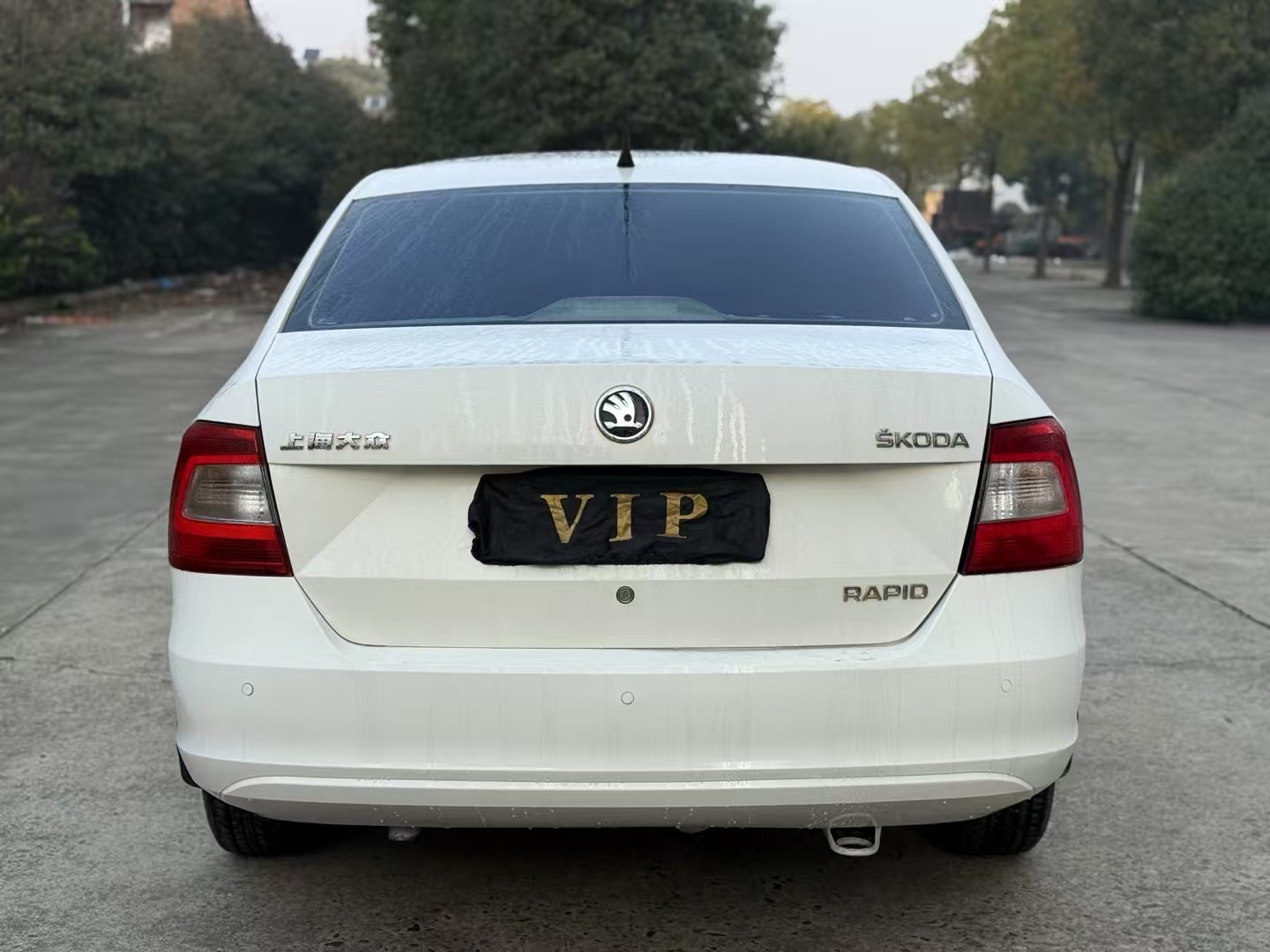 Skoda Rapid 2015 car image #8