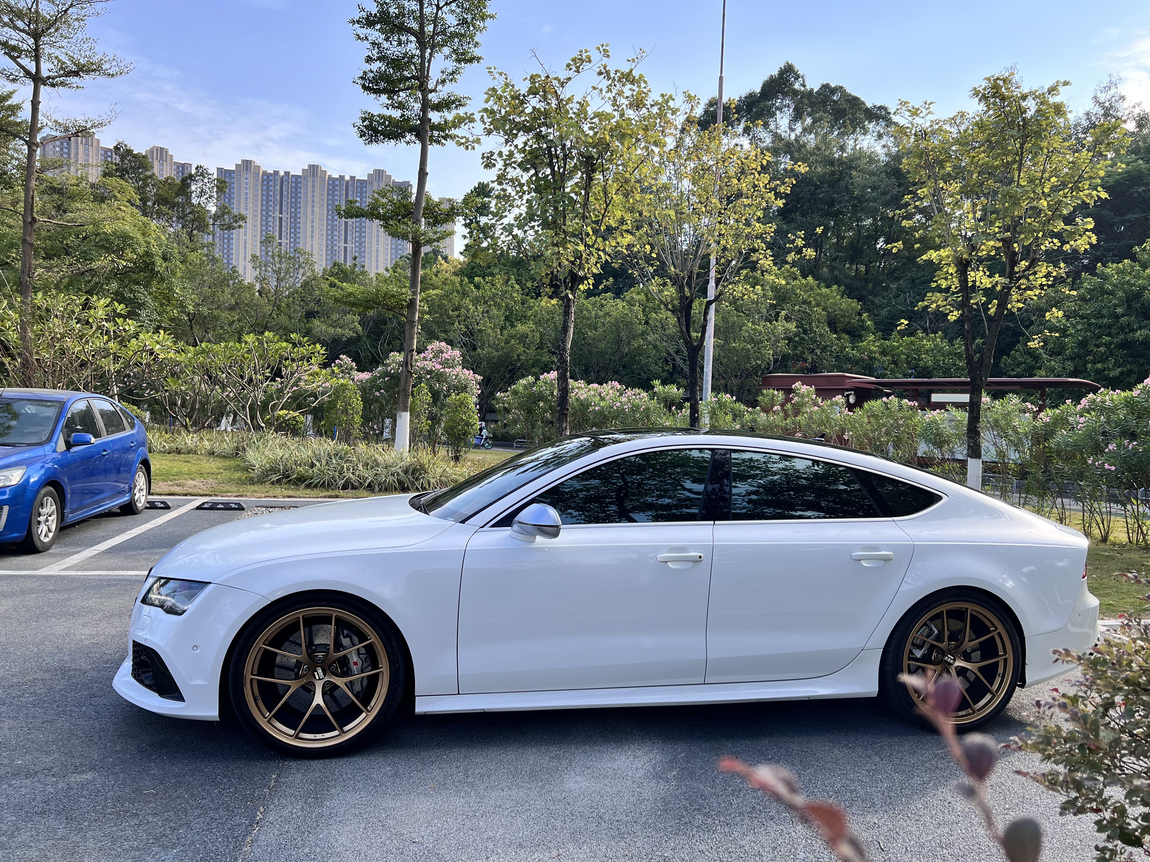 Audi RS 7 2015 car image #8