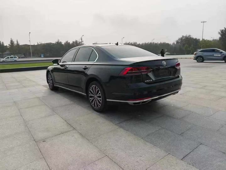 Volkswagen Phideon 2019 immagine di auto #8