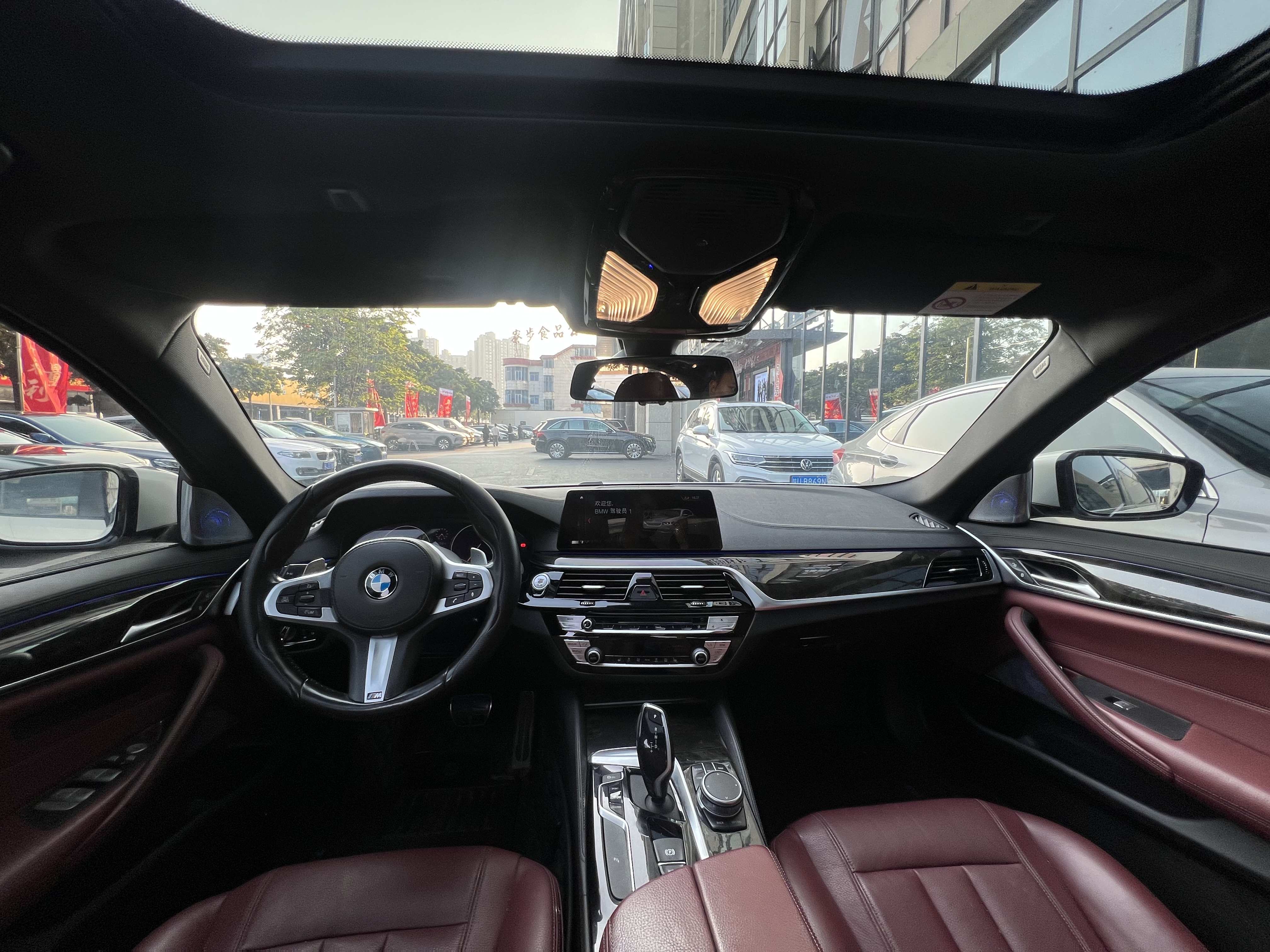 BMW 5 Series 2019 car image #8
