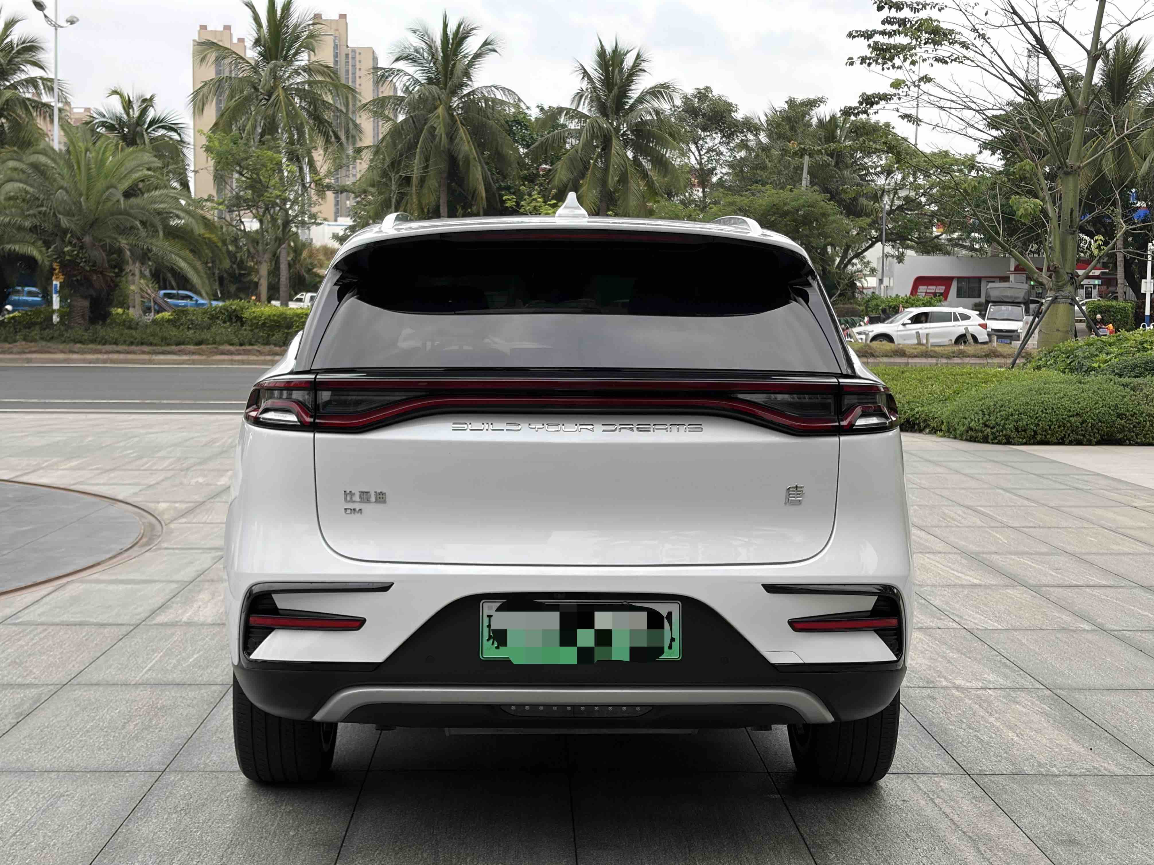 BYD Tang New Energy 2020 car image #8