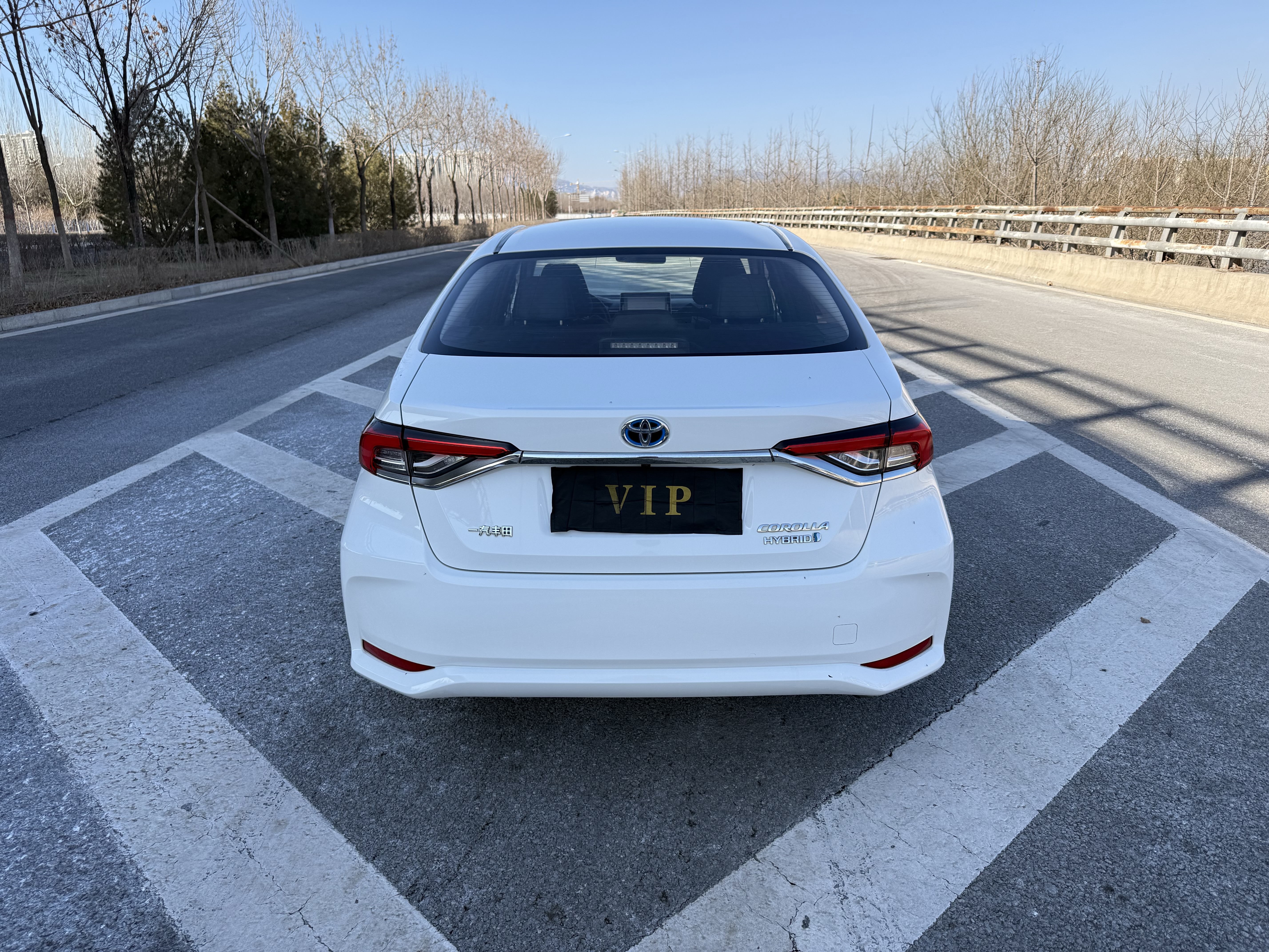 Corolla 2020 car image #8
