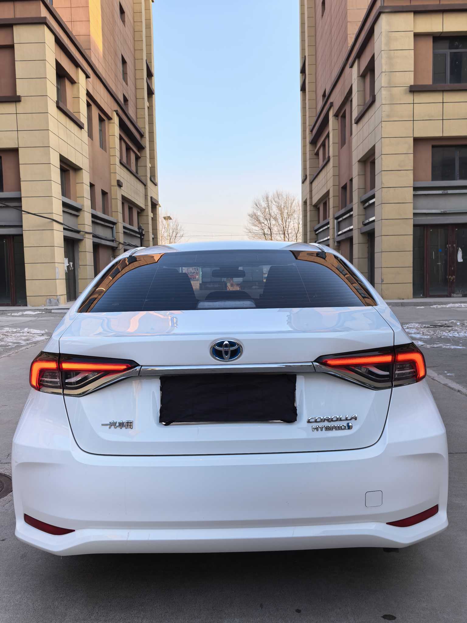 Toyota Corolla 2022 #8 Toyota Corolla 2022 immagine di auto #8