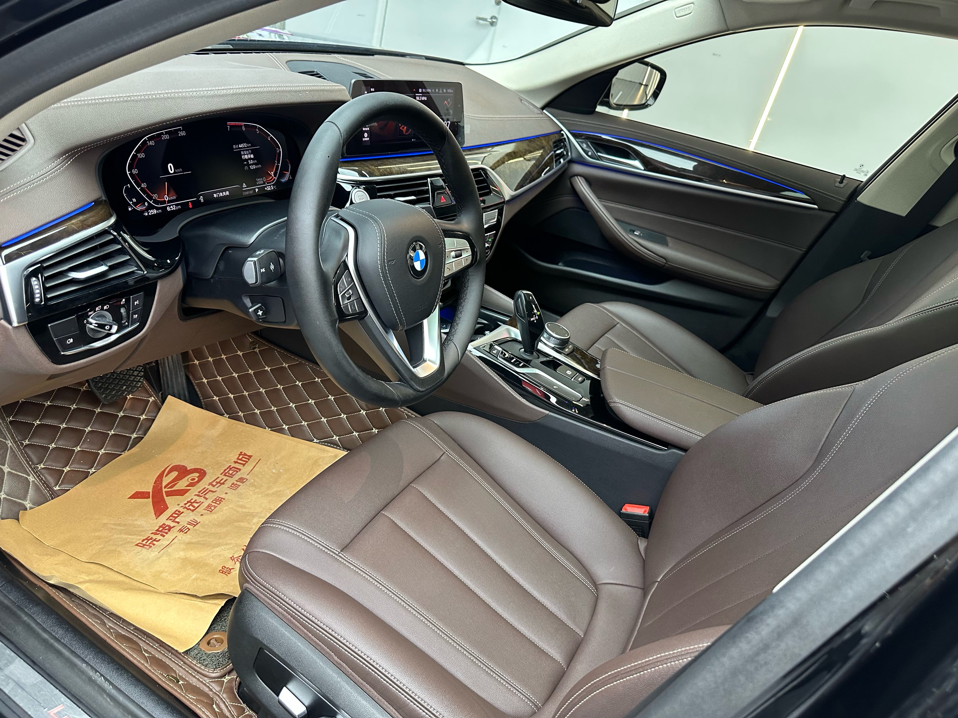 BMW 5 Series 2020 car image #8