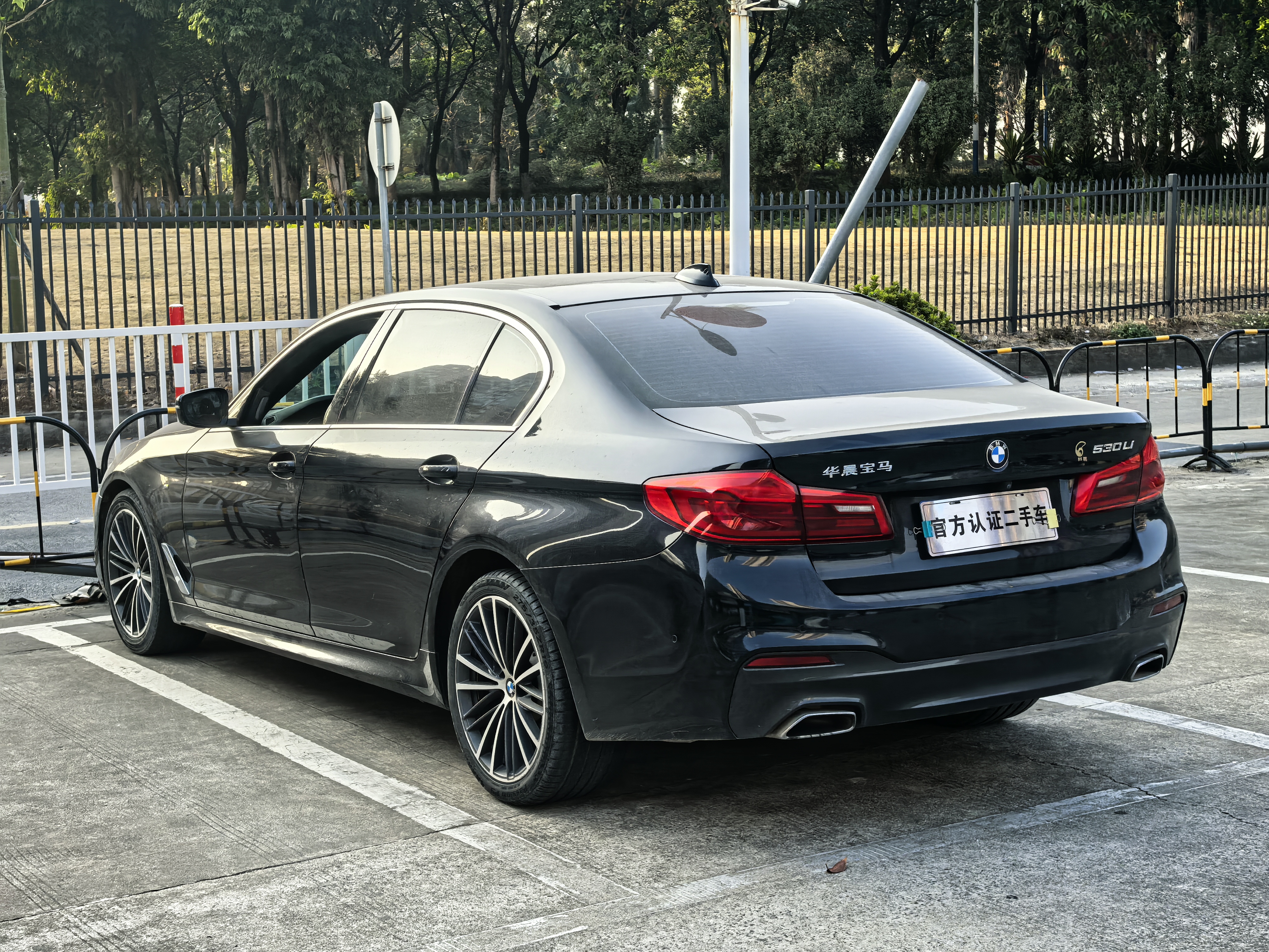 BMW 5 Series 2020 car image #8