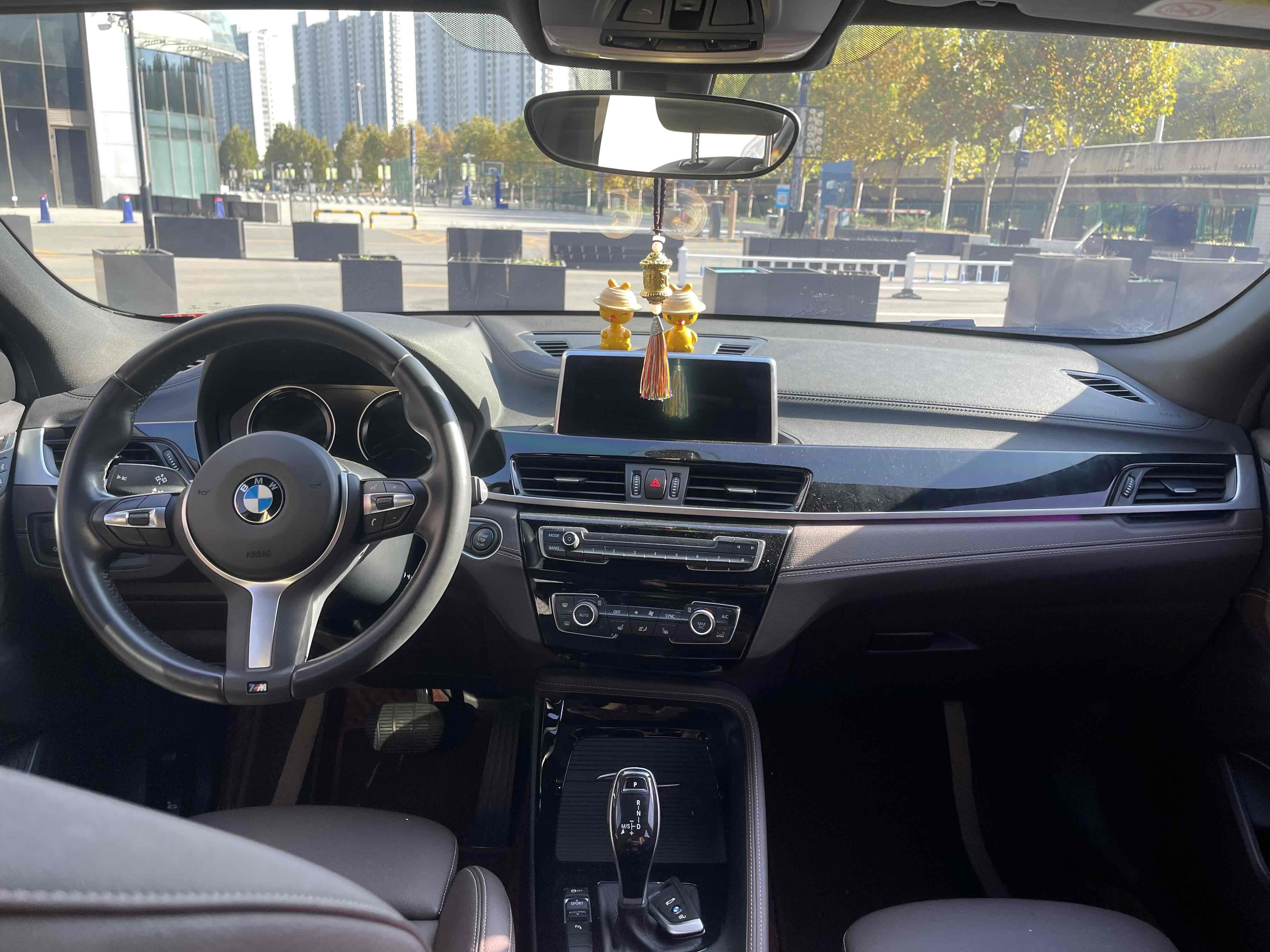 BMW X2 2020 car image #8