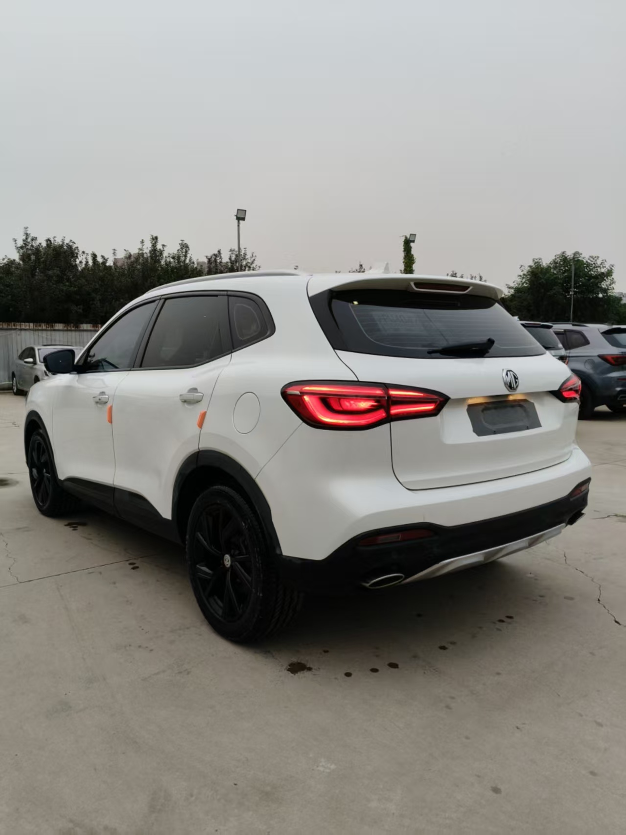 MG HS New Energy 2020 immagine di auto #8