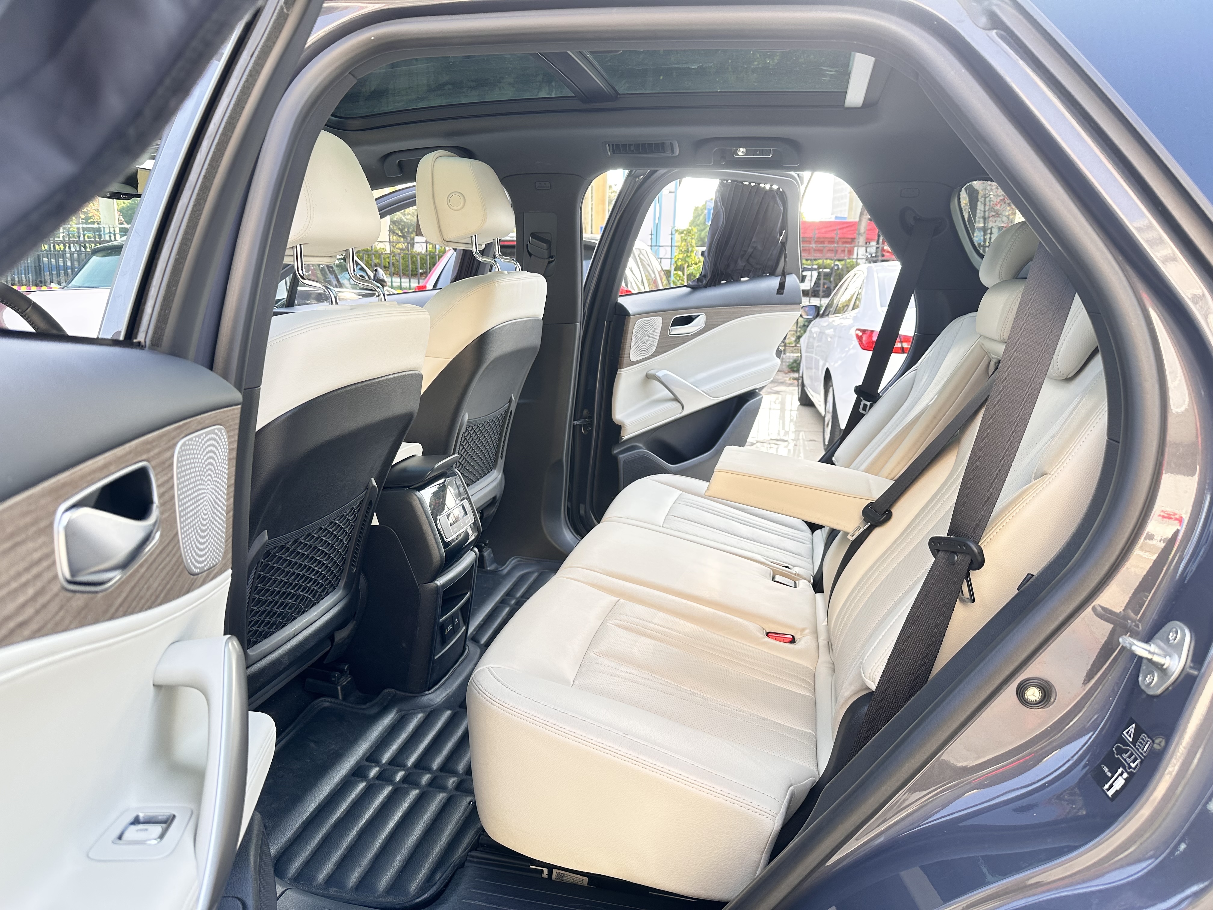 Denza X 2021 immagine di auto #8