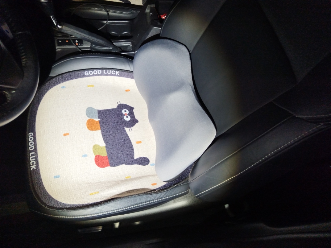 Toyota RAV4 2016 car image #8