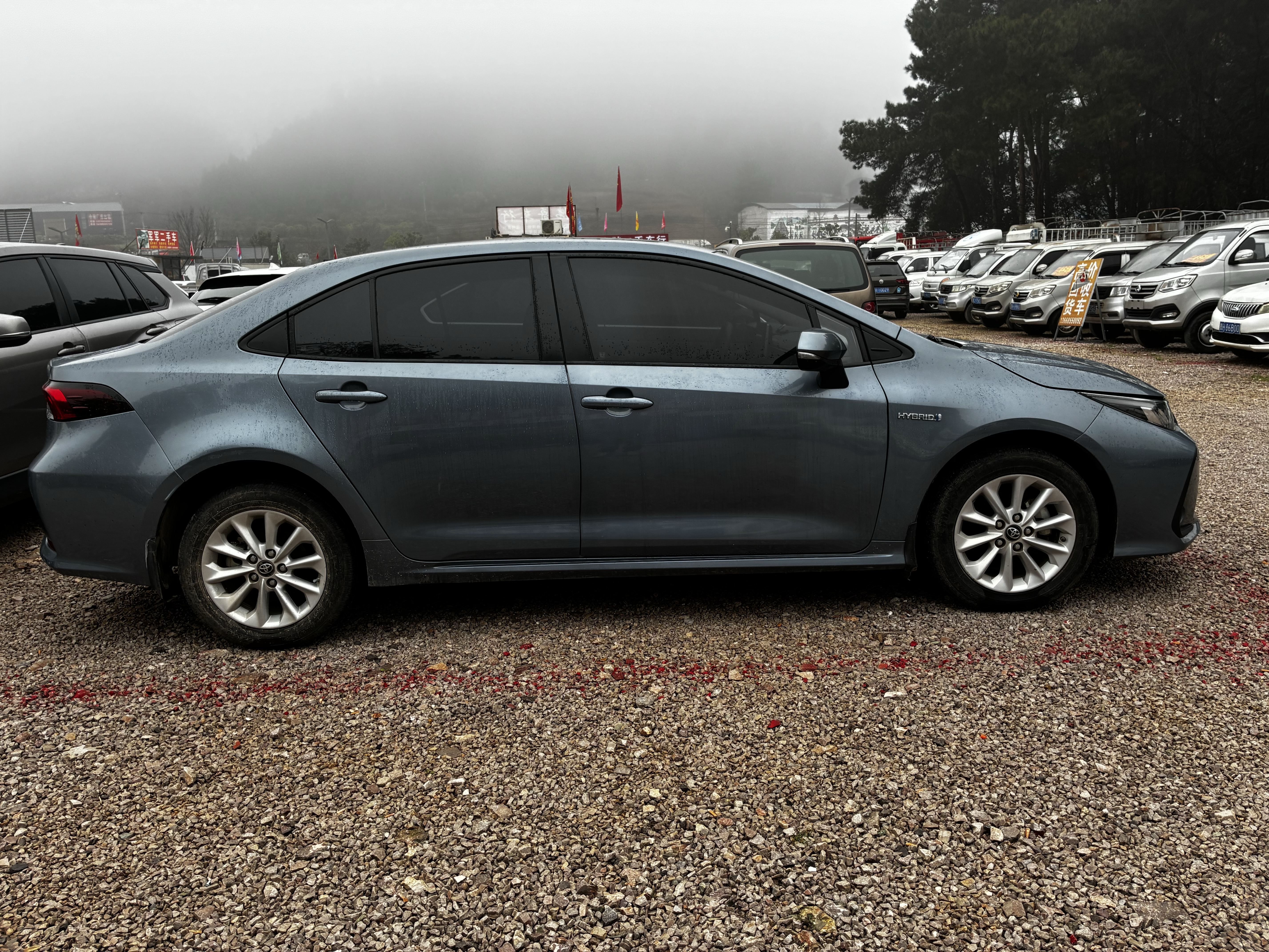 Corolla 2021 #8 Corolla 2021 car image #8