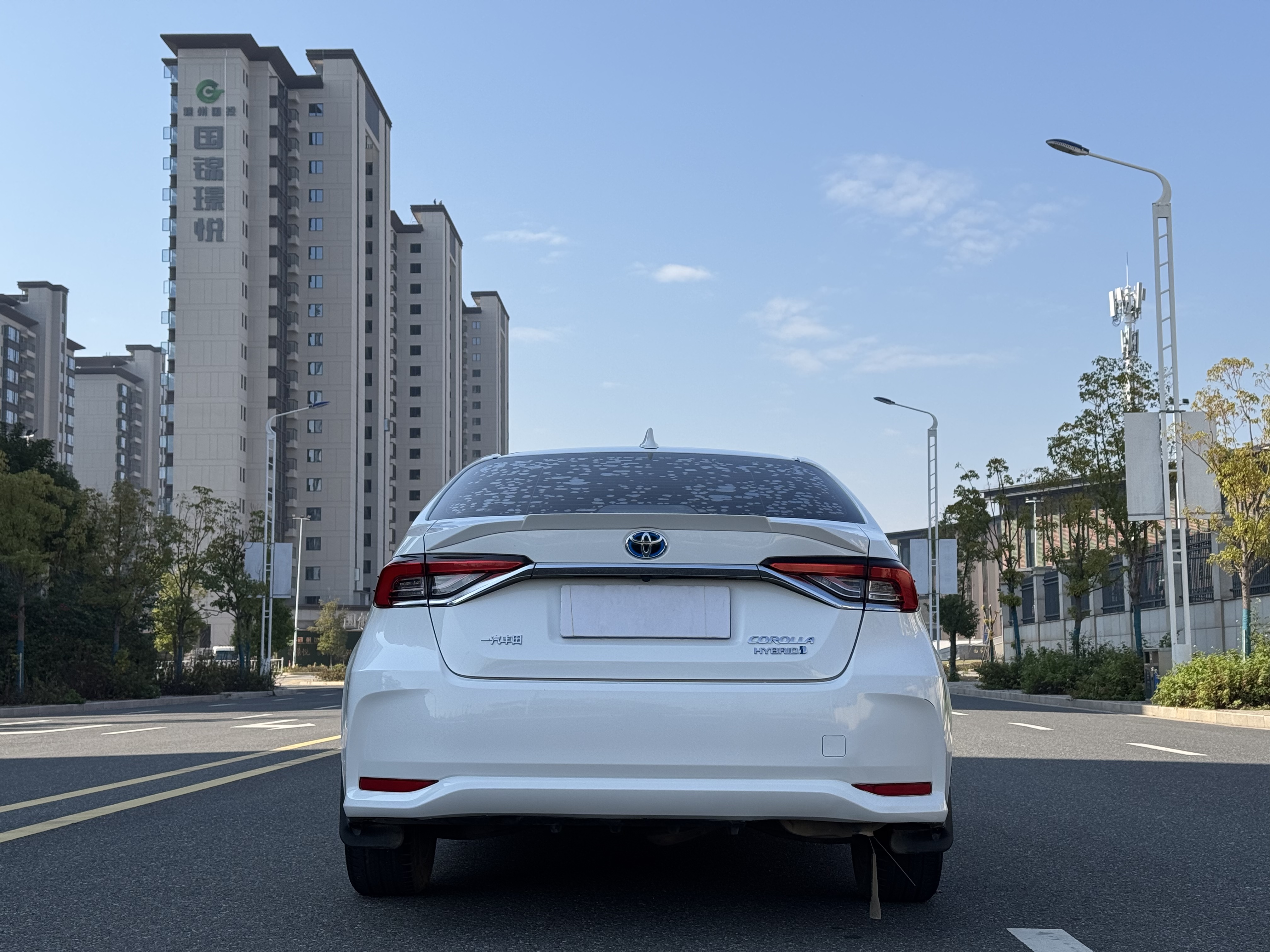 Toyota Corolla 2021 car image #8
