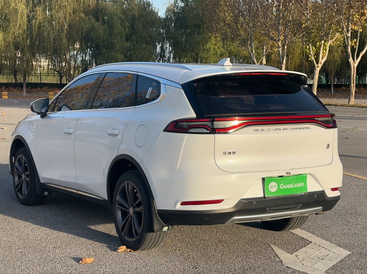 BYD Tang 2021 car image #8