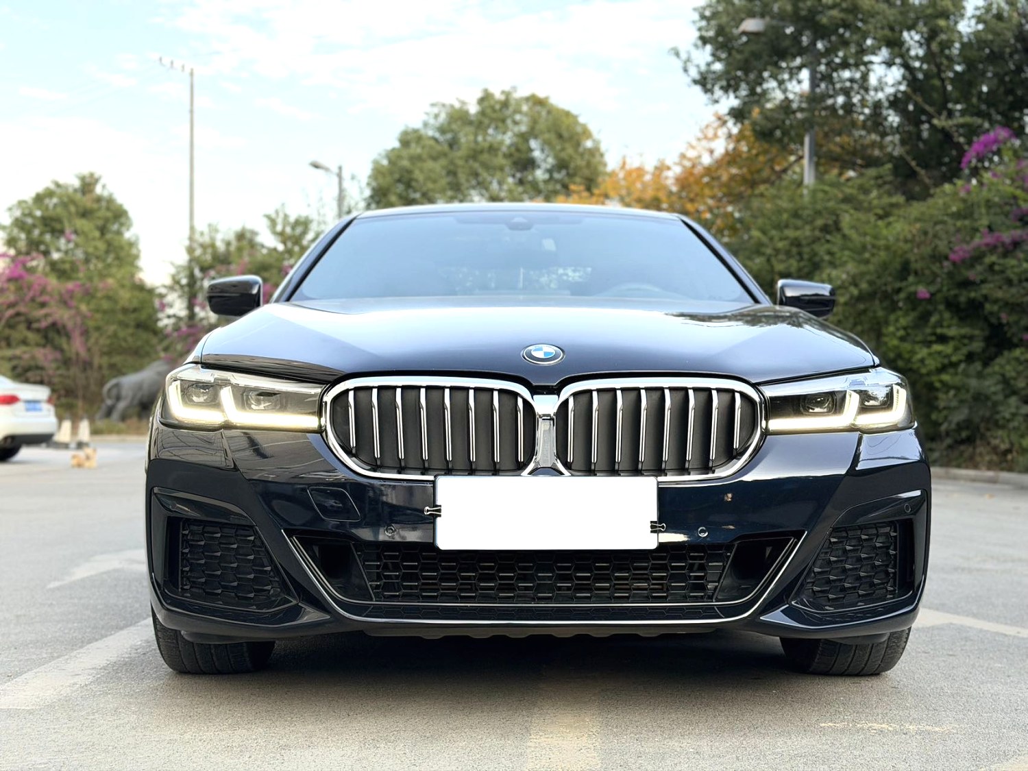 BMW 5 Series 2021 #8 BMW 5 Series 2021 car image #8