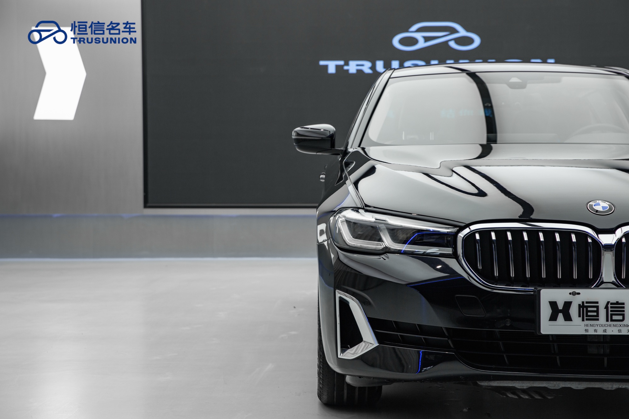 BMW 5 Series 2021 car image #8
