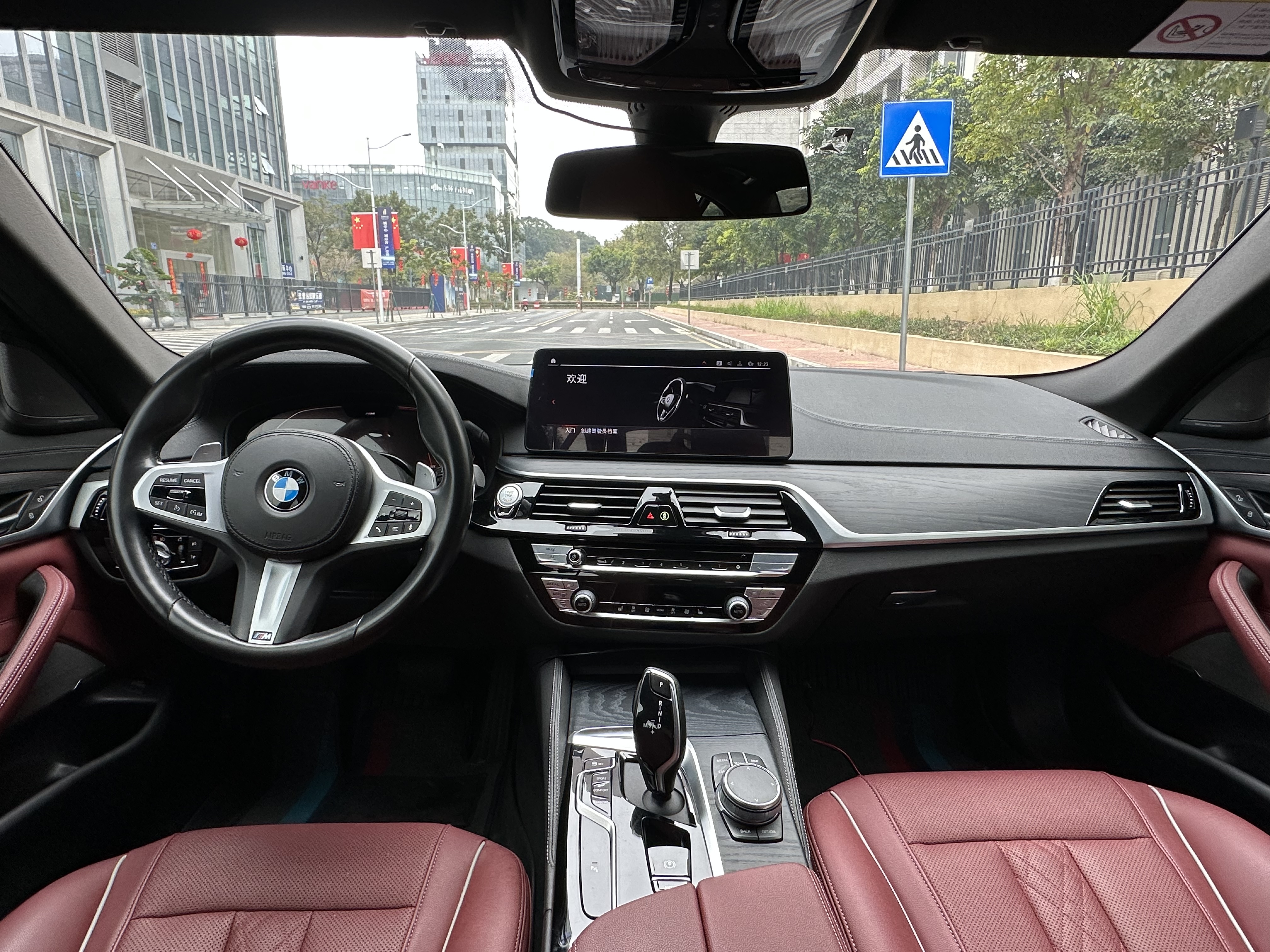 BMW 5 Series 2020 car image #8