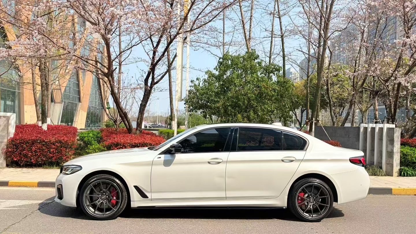 BMW 5 Series 2021 car image #8