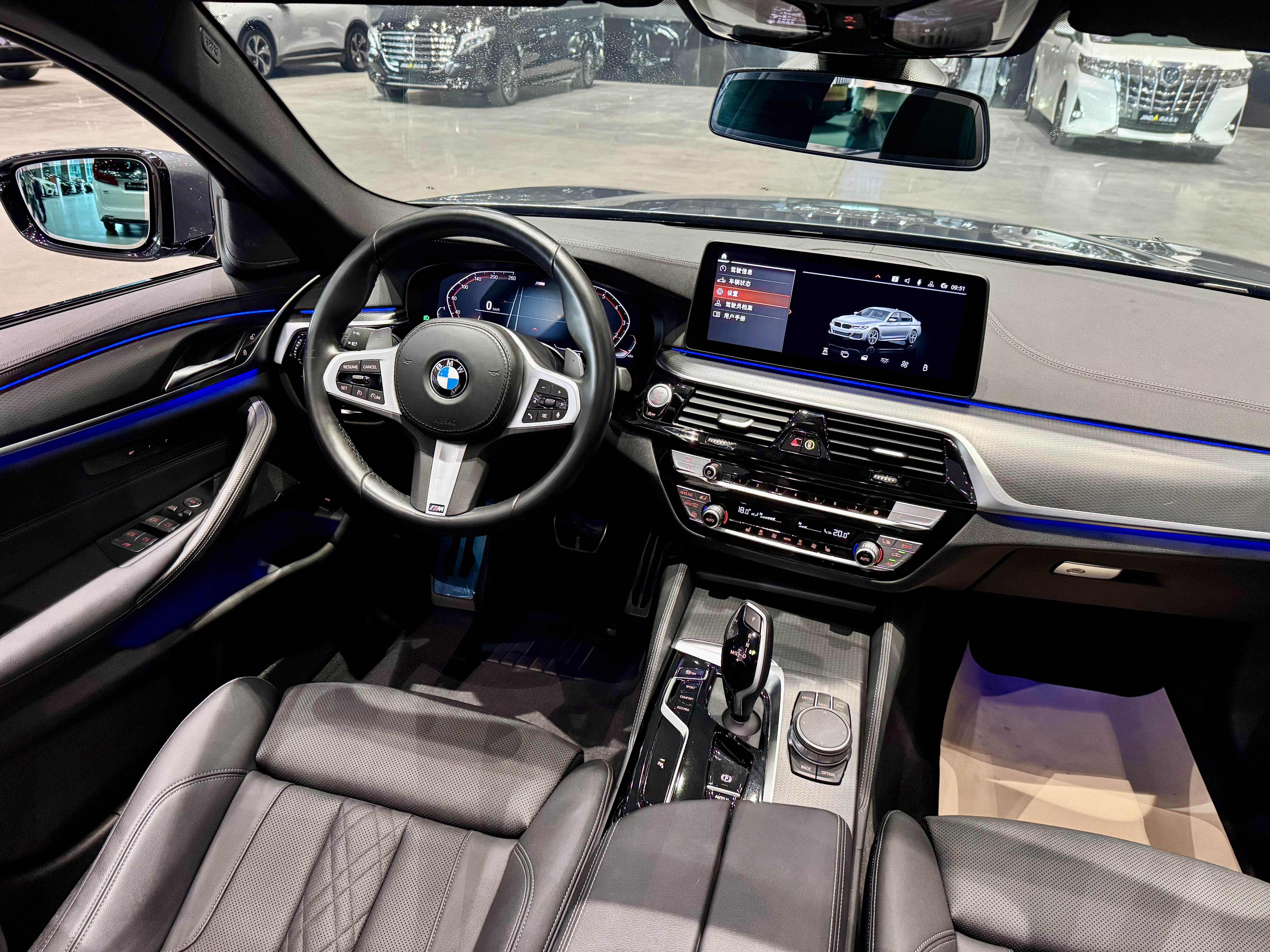 BMW 5 Series (Imported) 2021 #8 BMW 5 Series (Imported) 2021 car image #8