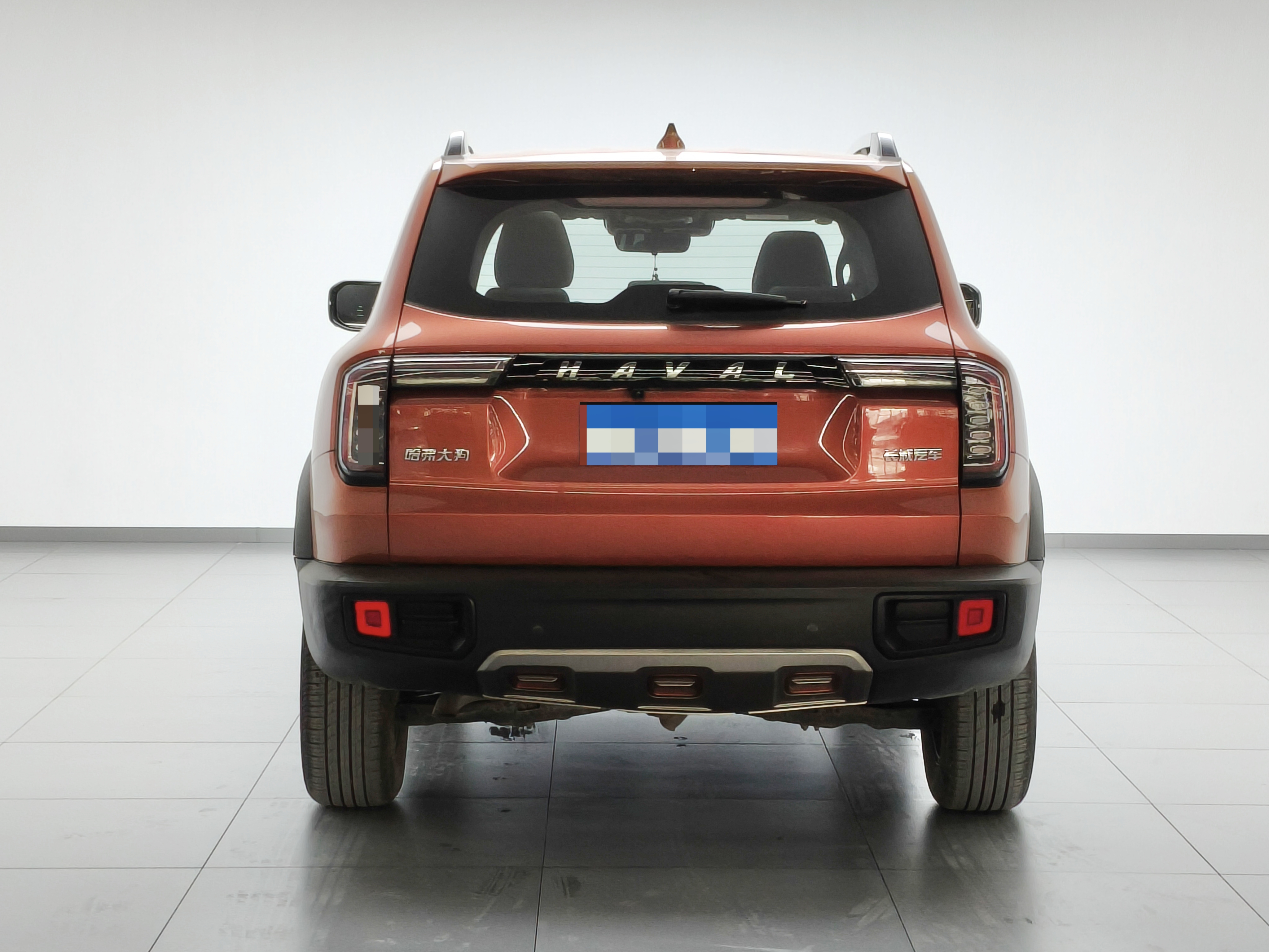 Haval X Dog / Dargo 2021 immagine di auto #8