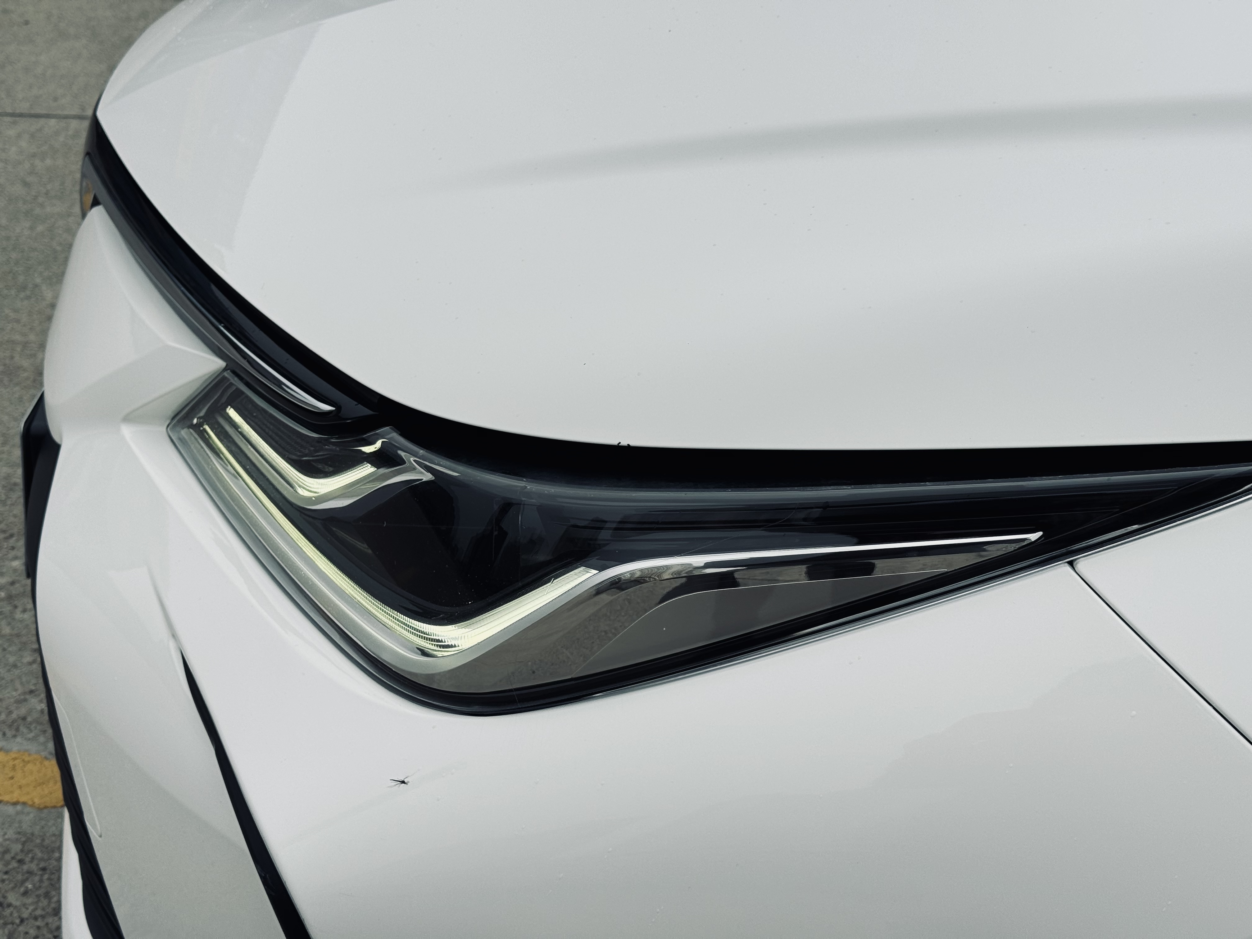 Toyota Corolla 2023 car image #8