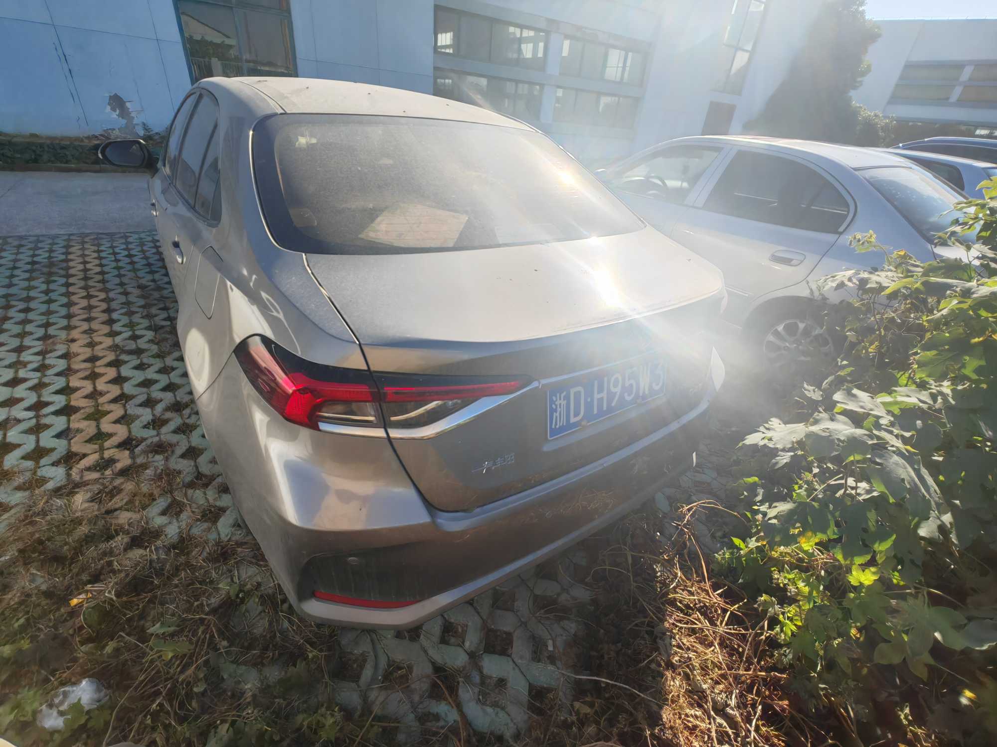 Corolla 2022 car image #8