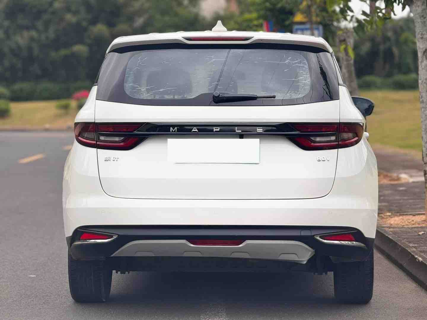 睿蓝汽车 枫叶80v 2022 汽车图片 #8