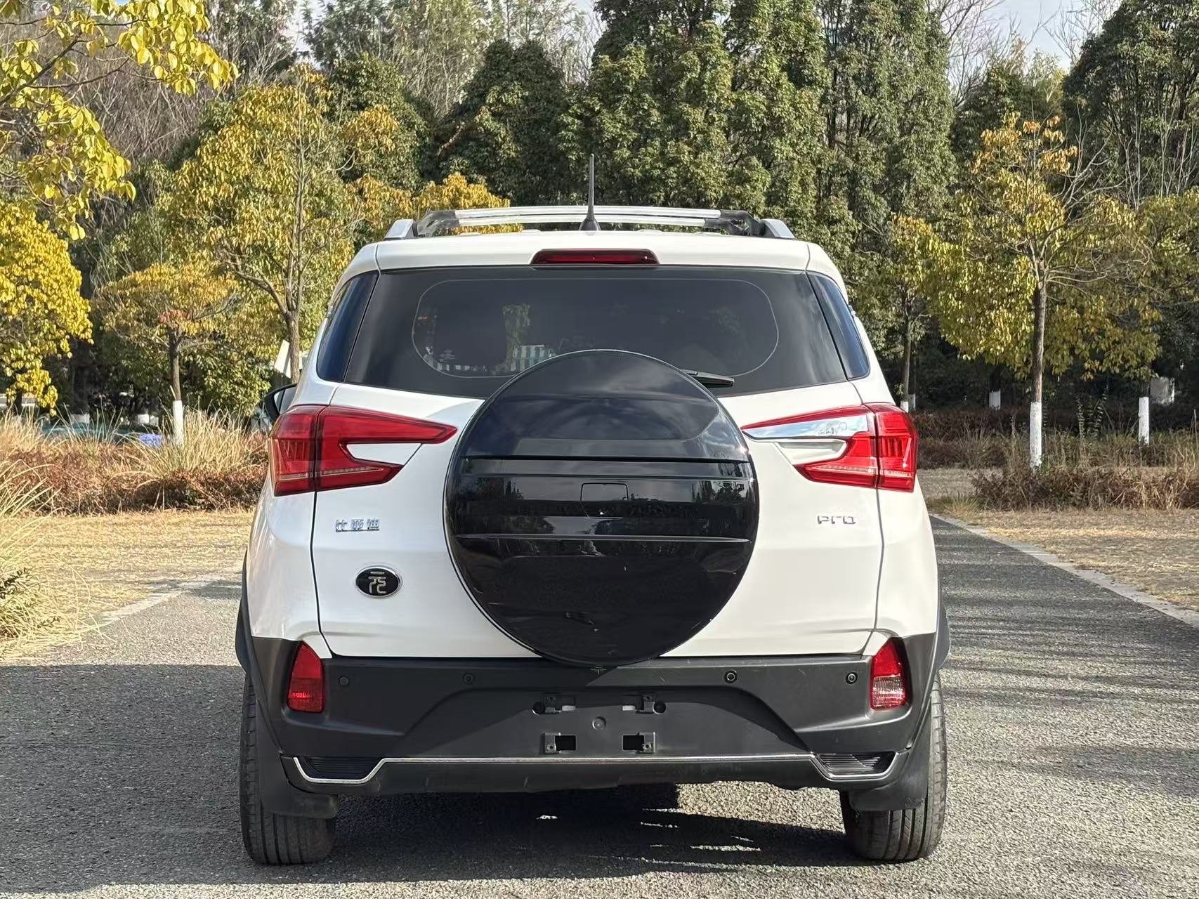 BYD Yuan Pro 2021 car image #8