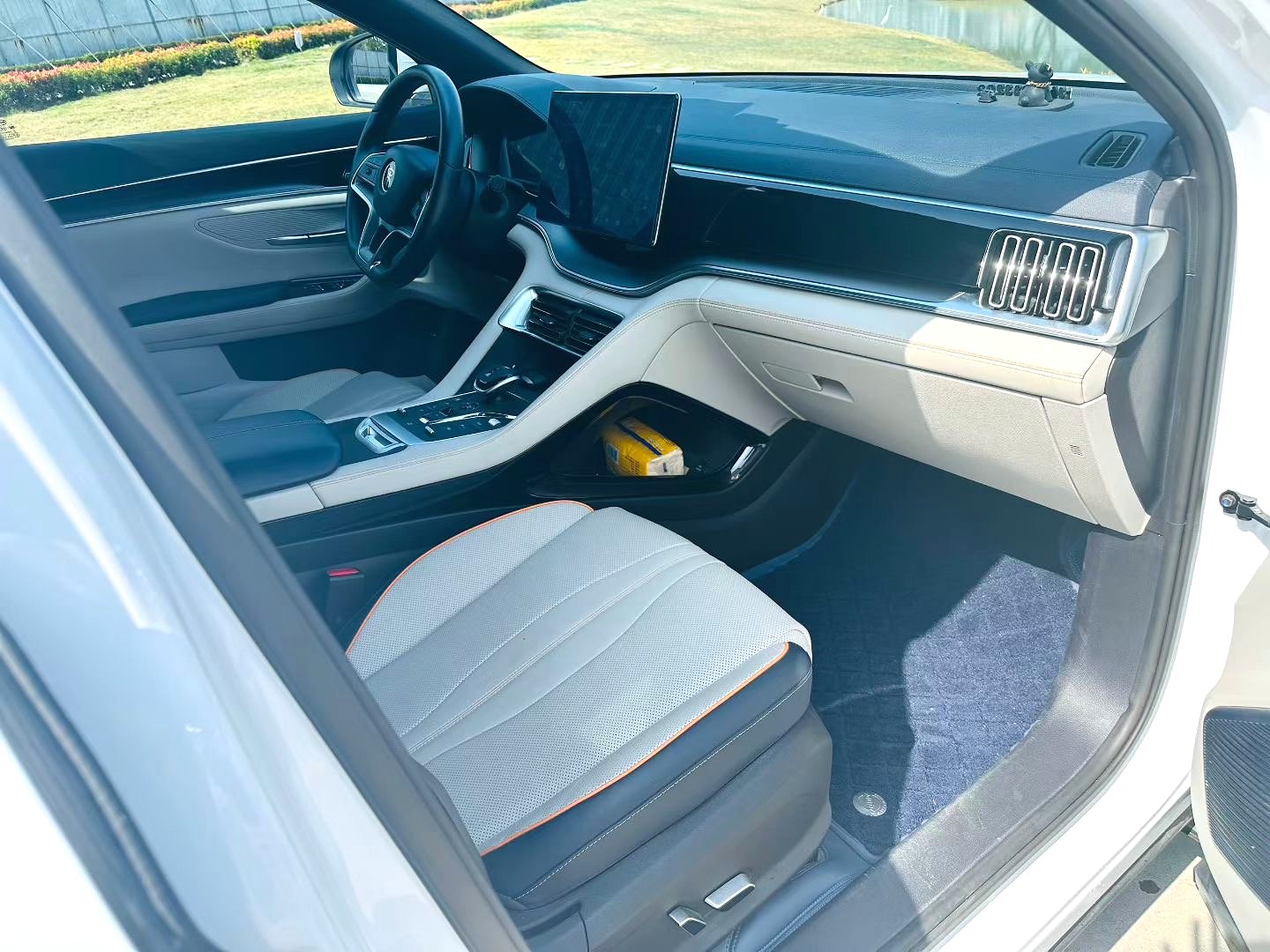 BYD Song Plus New Energy 2022 car image #8