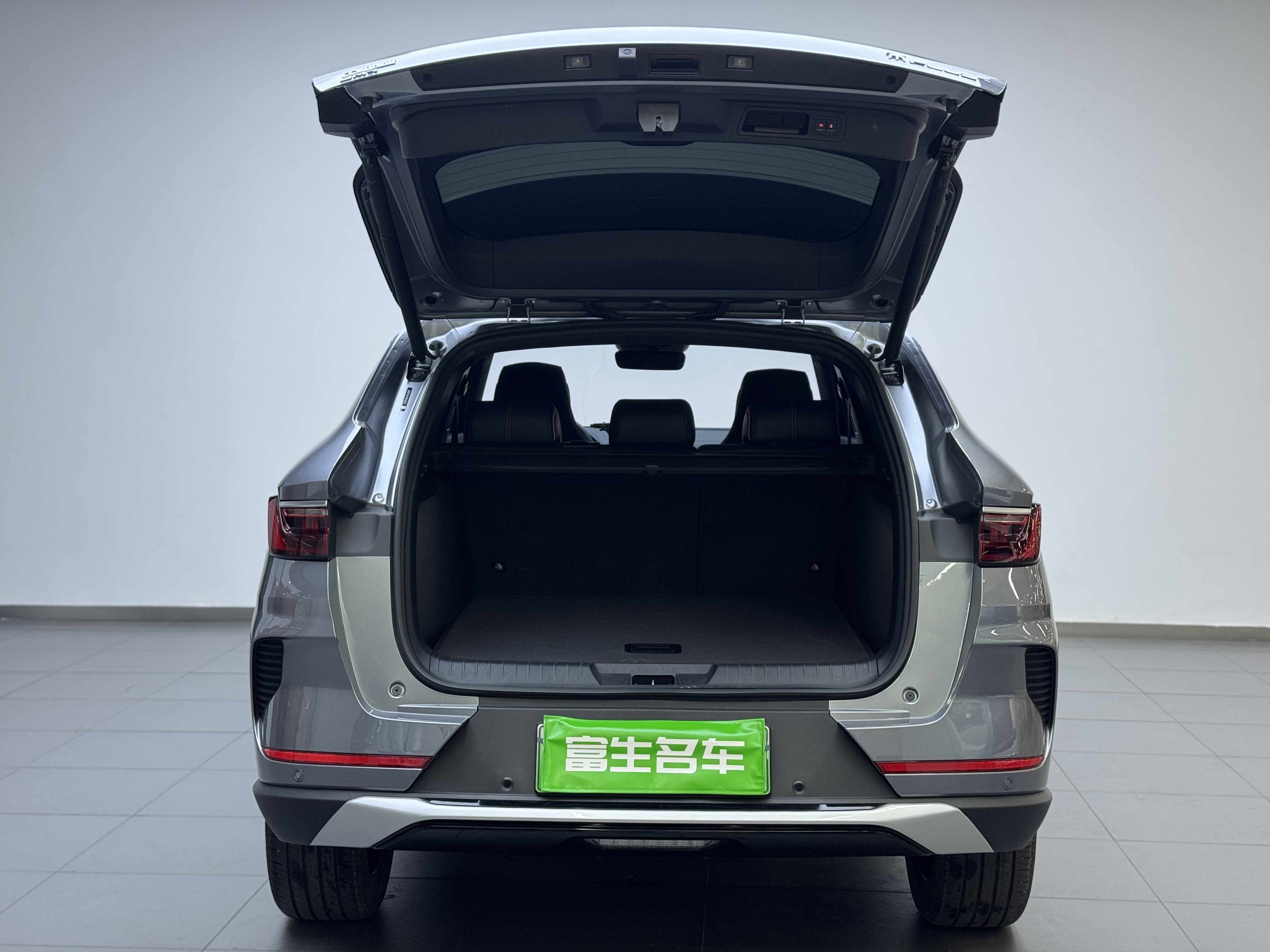 BYD Song Plus New Energy 2022 car image #8