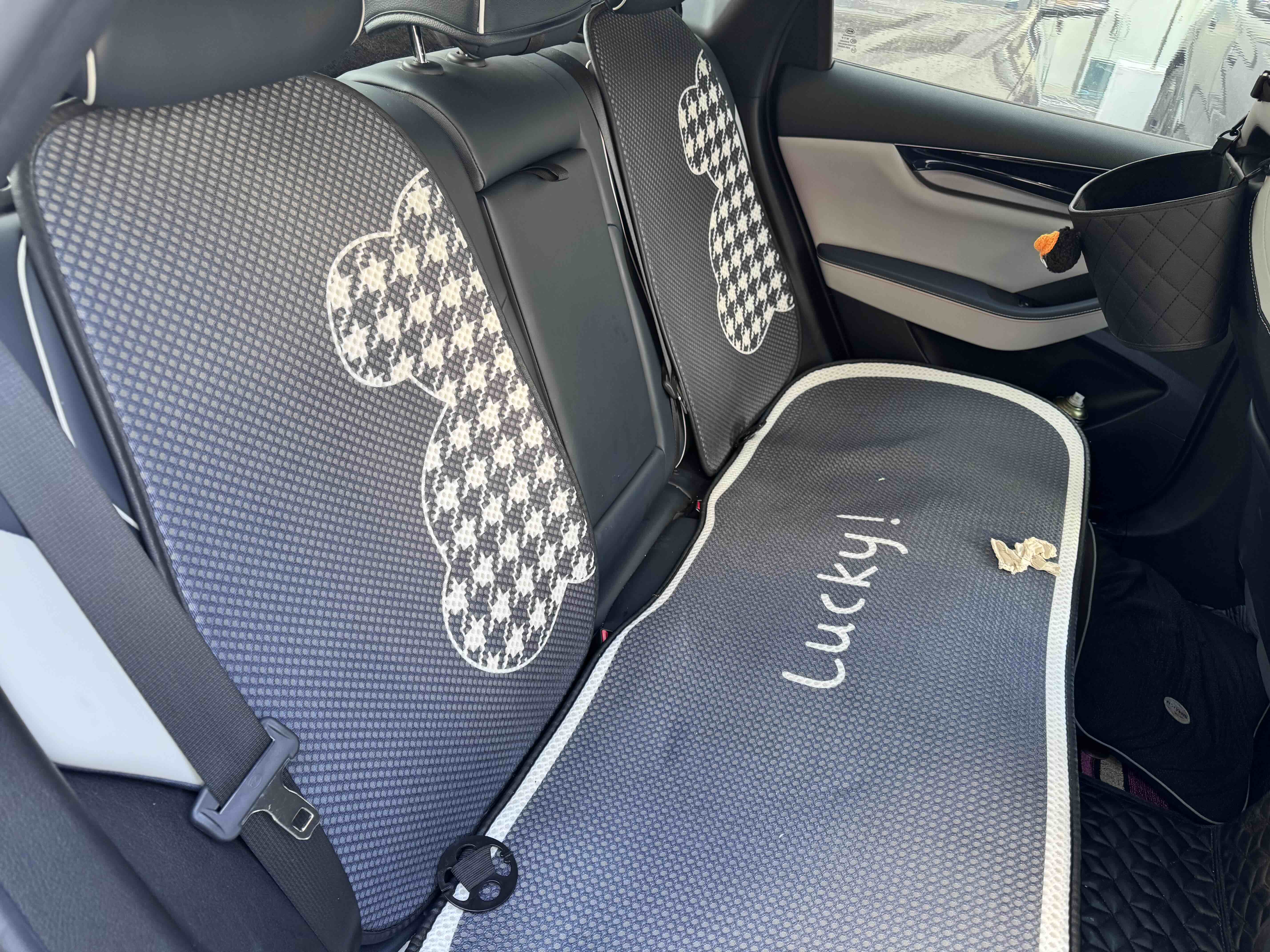 BYD Qin Plus 2021 imagem de carro #8