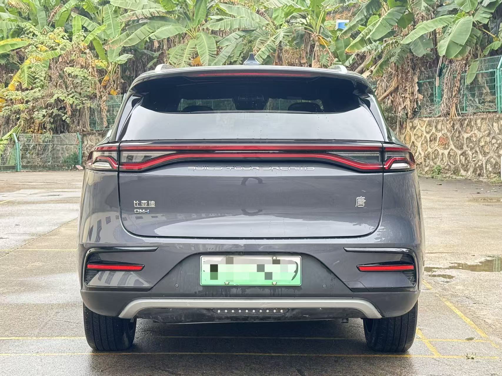 BYD Tang New Energy 2021 car image #8