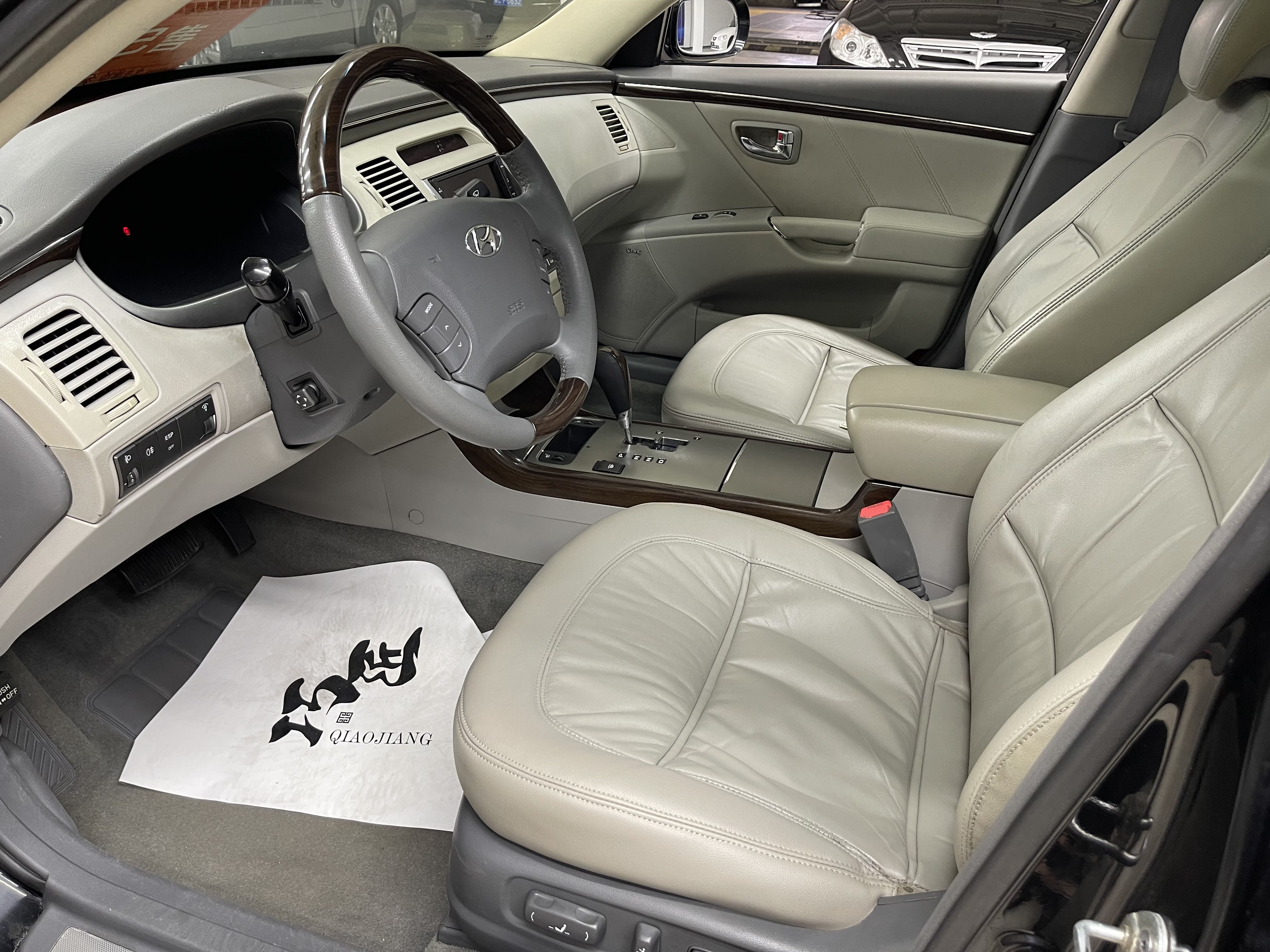 Hyundai Azera 2009 car image #8