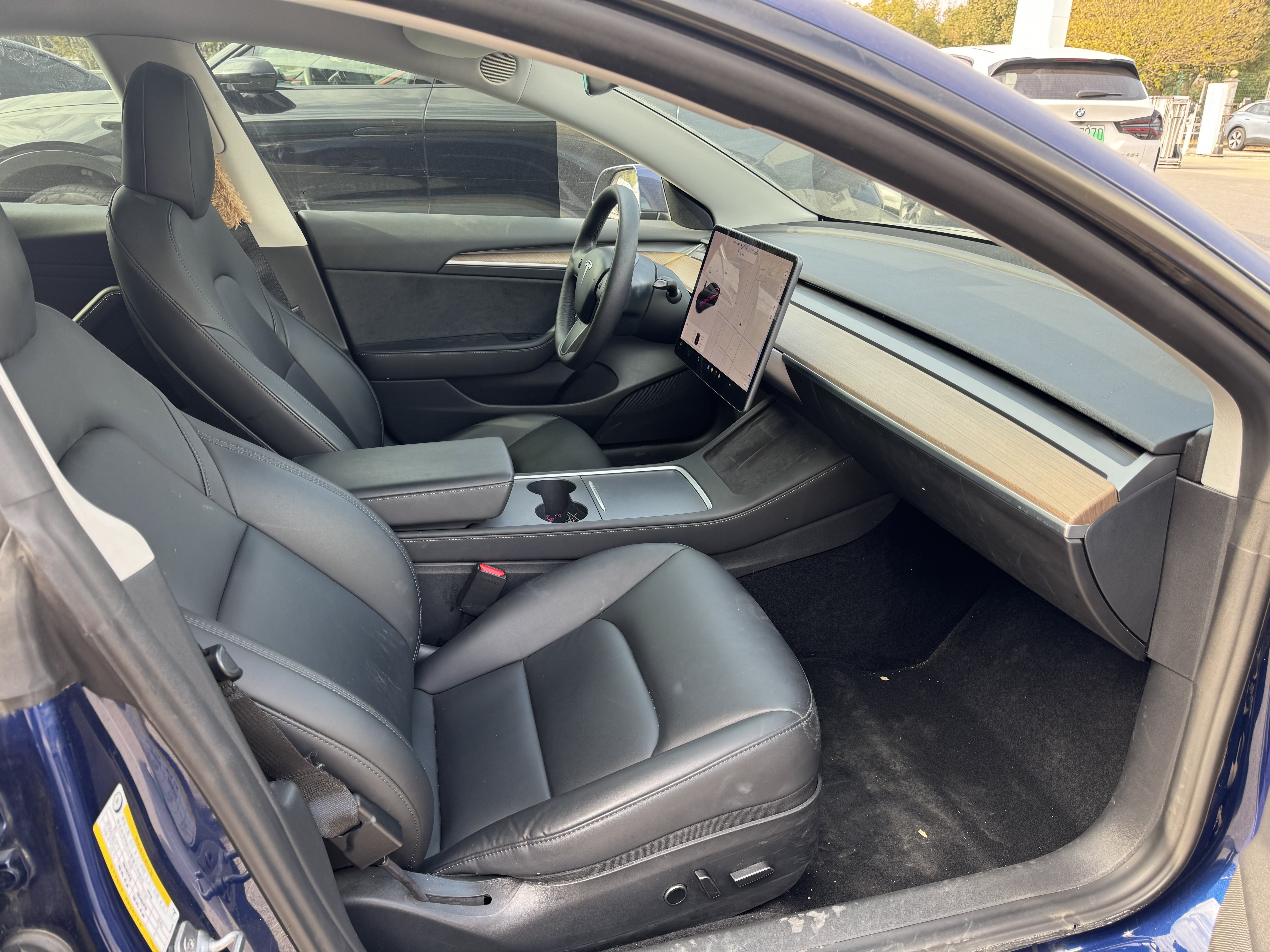 Tesla Model 3 2021 car image #8