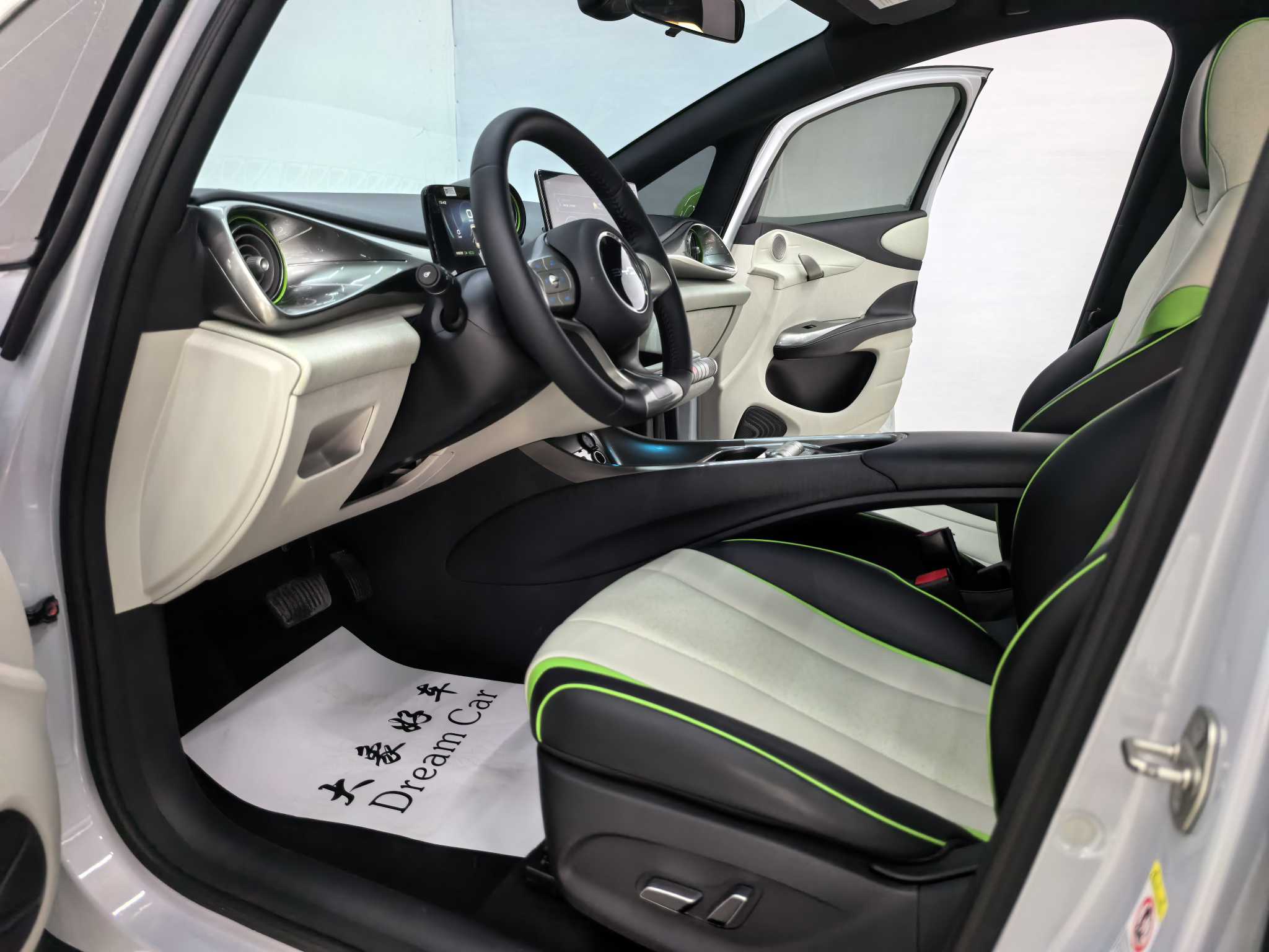 BYD Dolphin 2023 car image #8