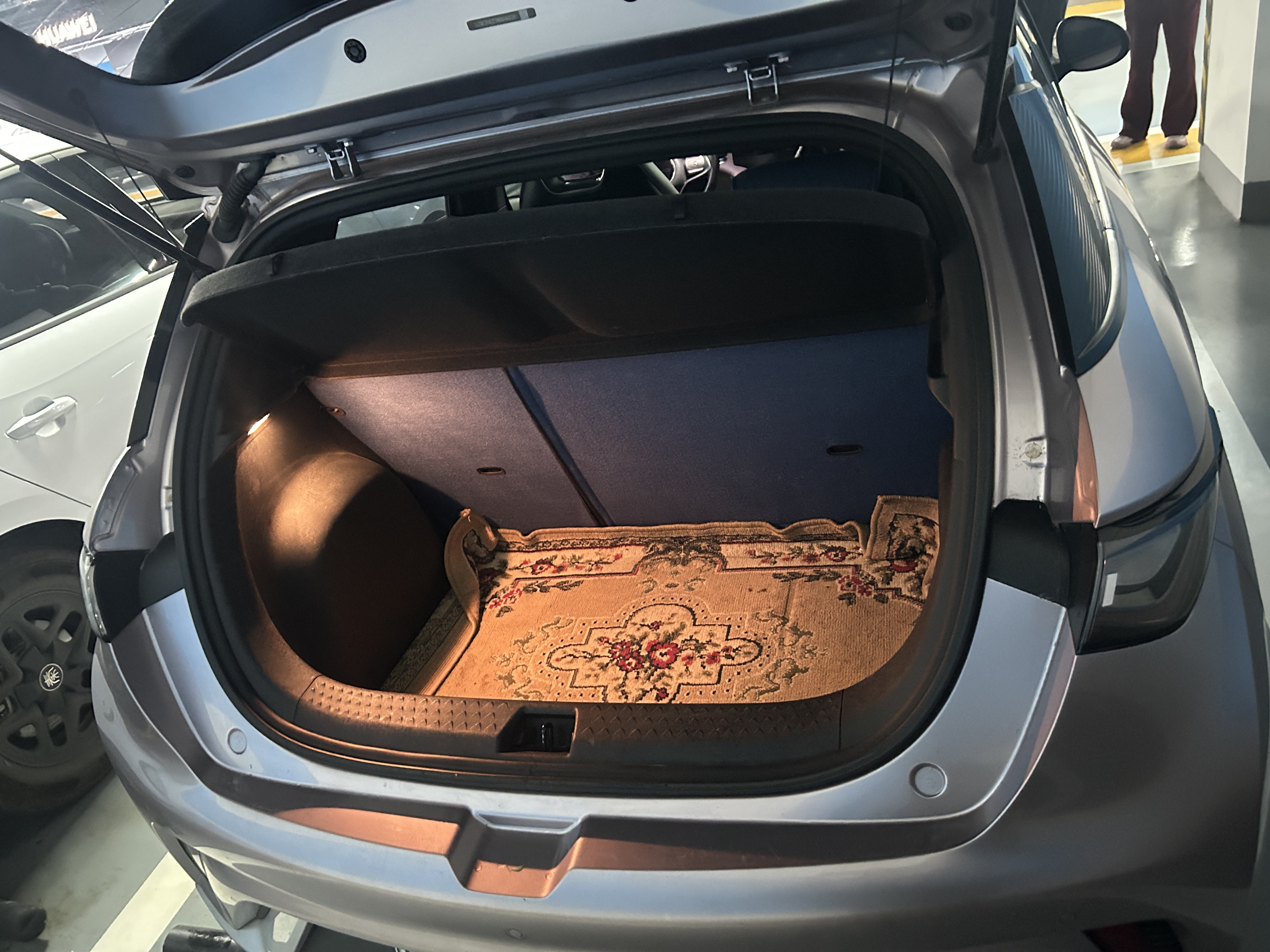 BYD Dolphin 2022 car image #8