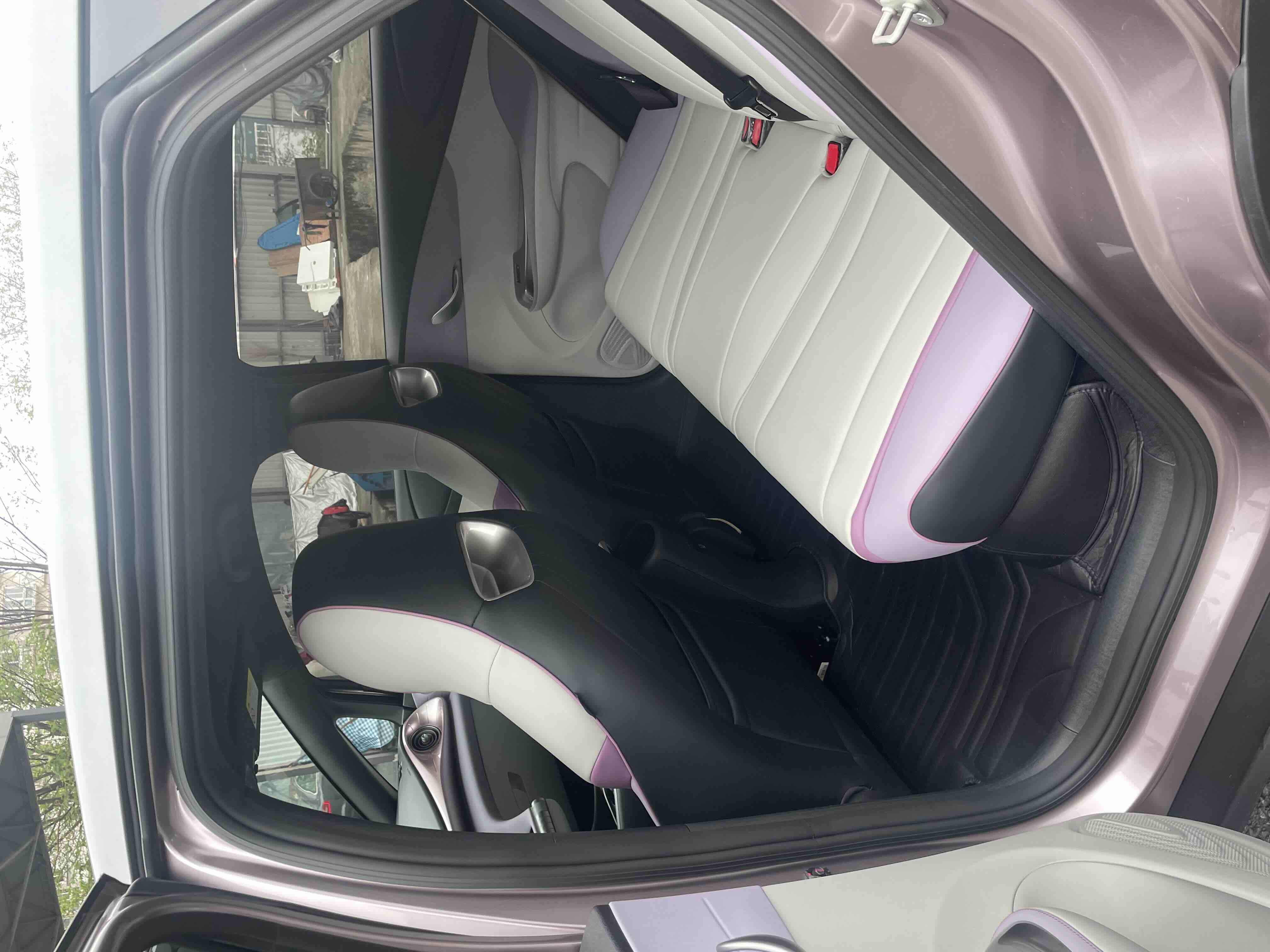 BYD Dolphin 2022 صورة سيارة #8