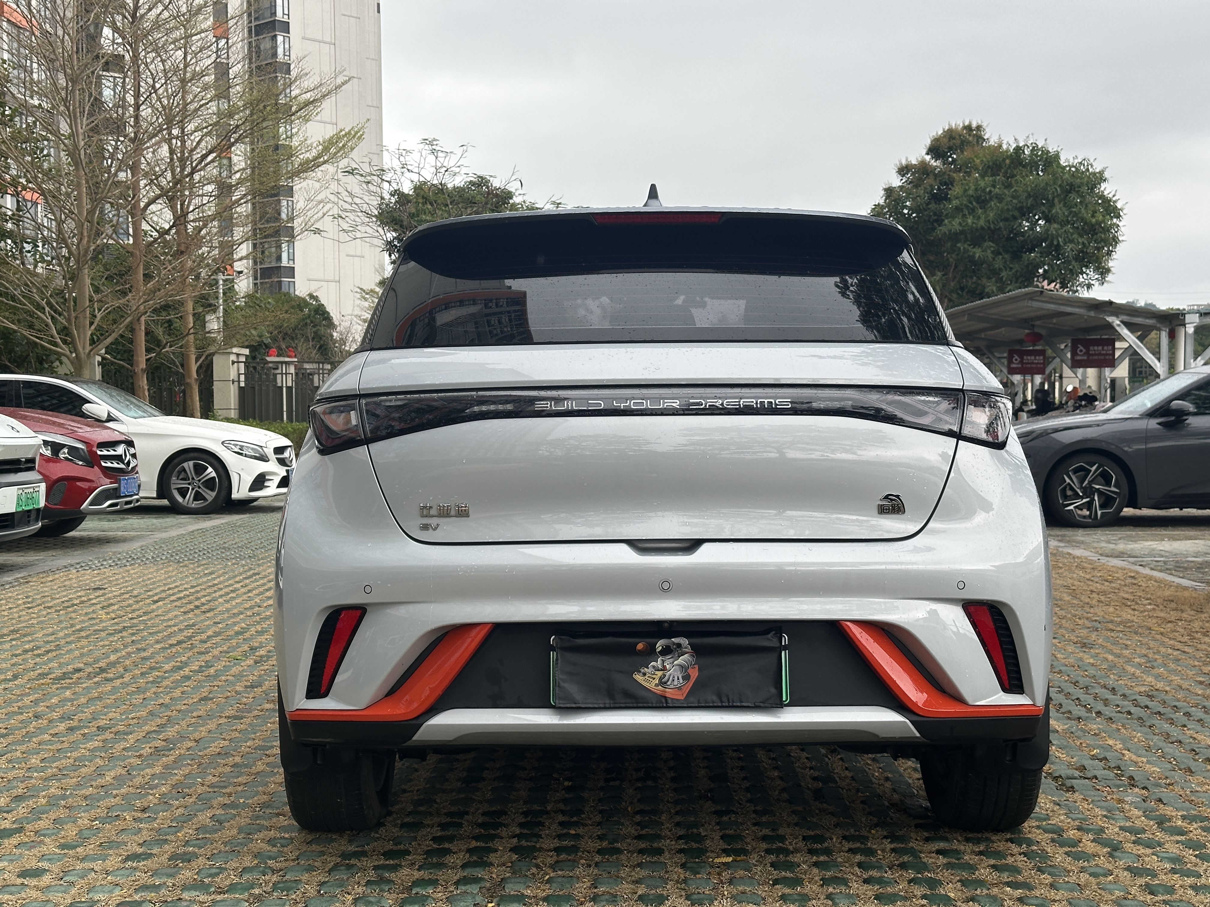 BYD Dolphin 2022 car image #8