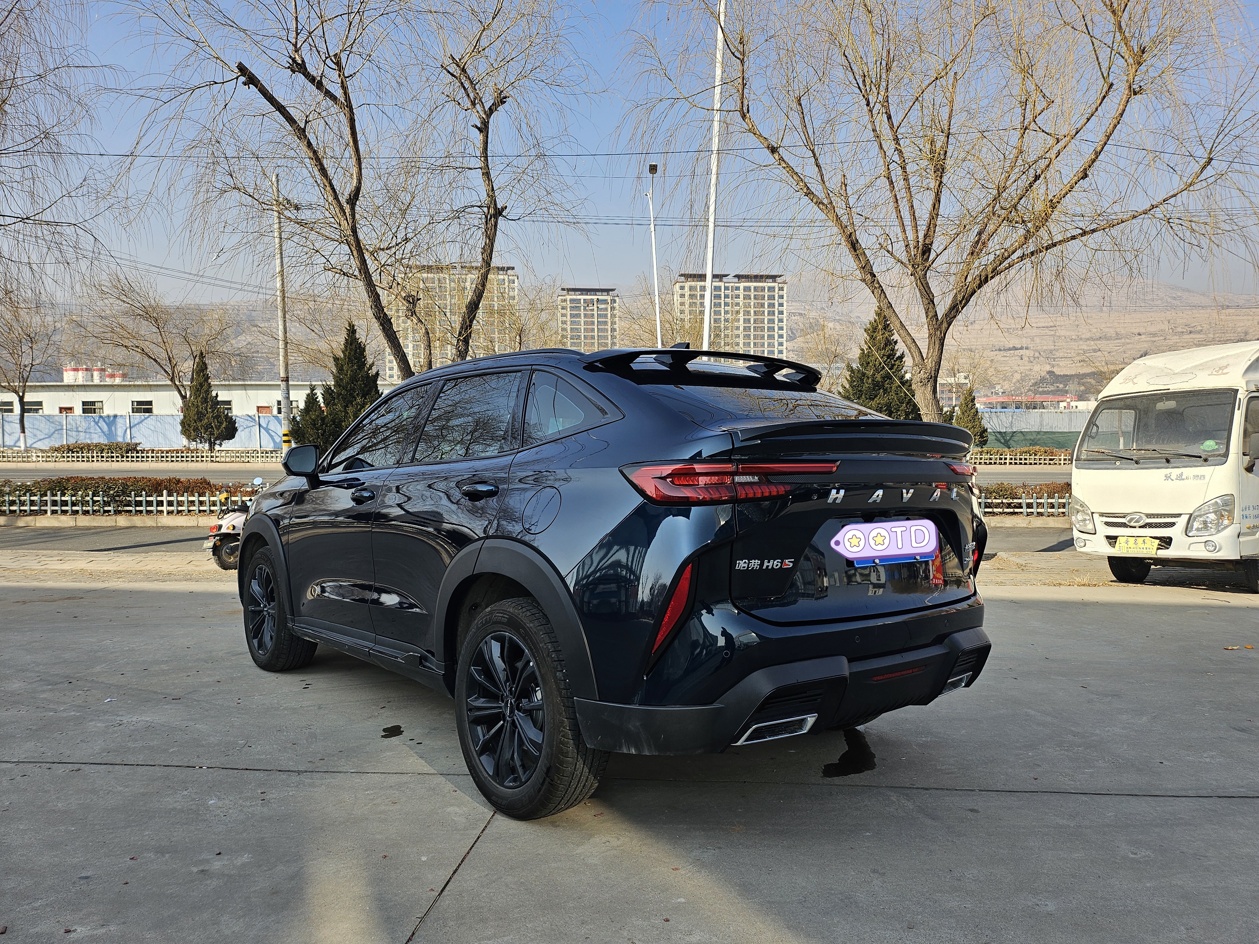 Haval H6S 2022 car image #8