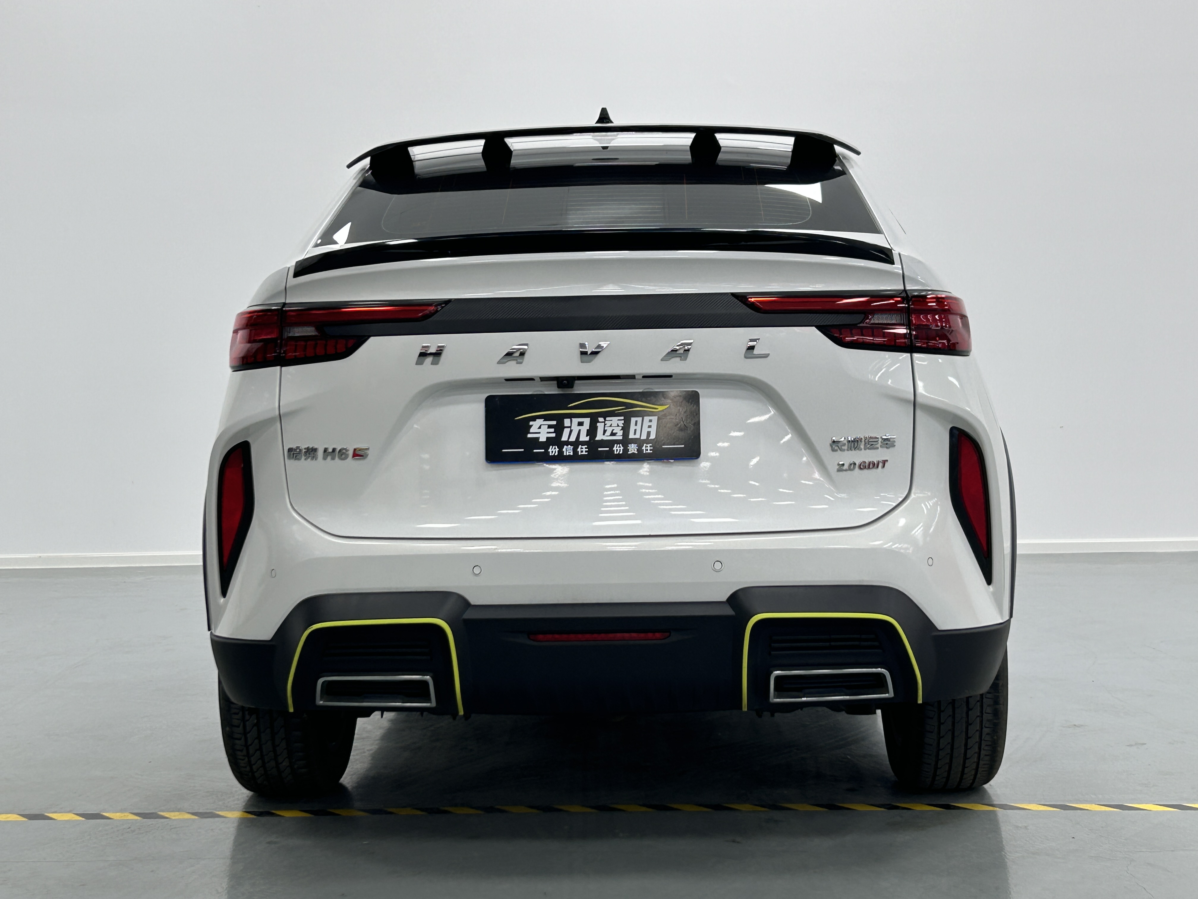 Haval H6S 2022 immagine di auto #8