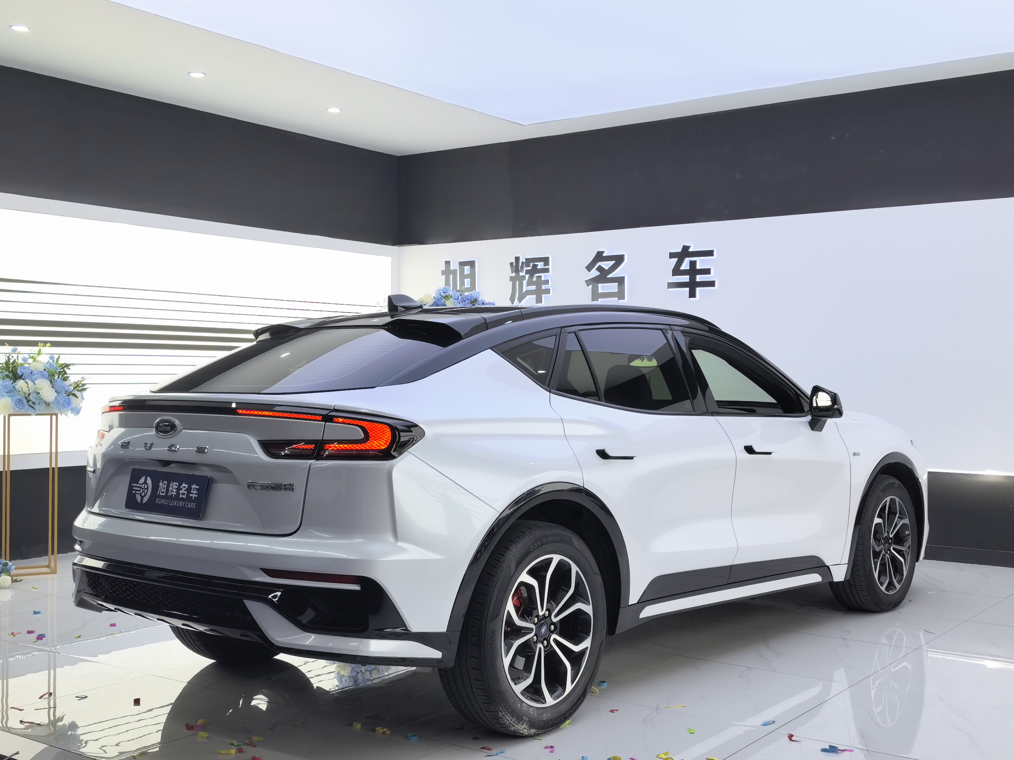 Ford Evos 2022 imagem de carro #8