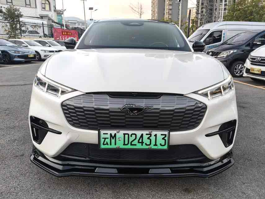 Ford Mustang Mach-E 2022 #8 Ford Mustang Mach-E 2022 car image #8