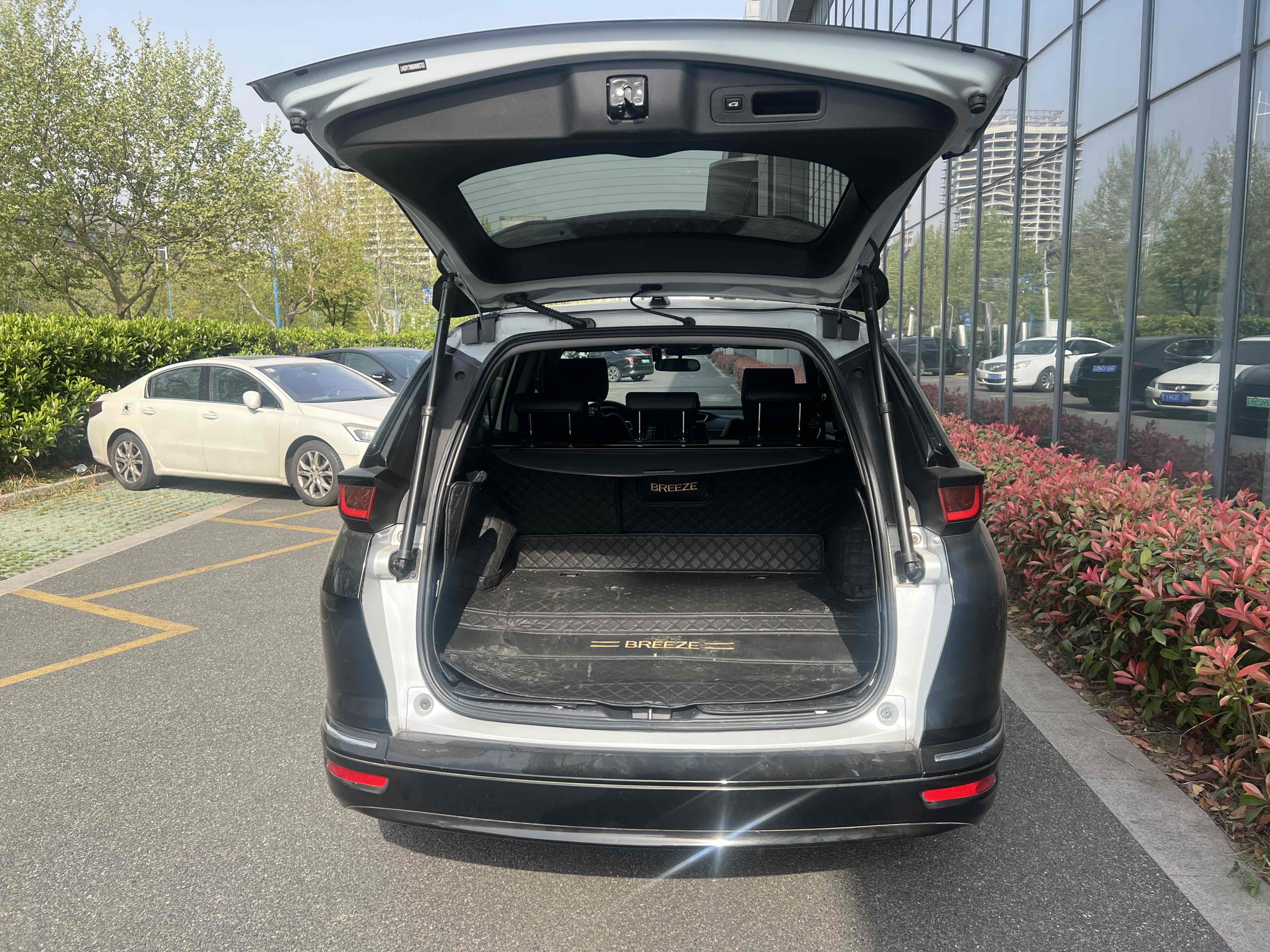 Honda Breeze New Energy 2022 car image #8