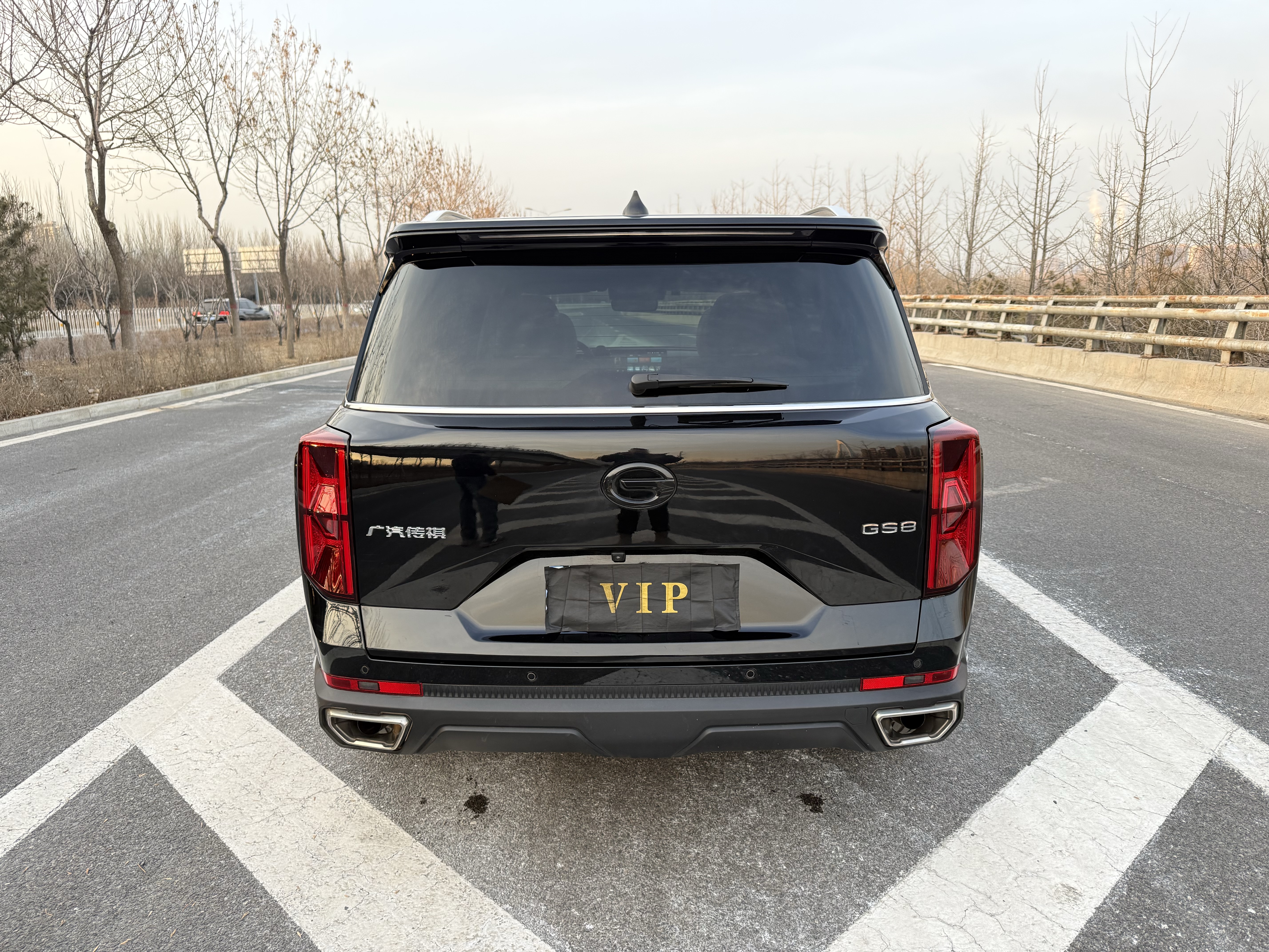 GAC Trumpchi GS8 2022 car image #8