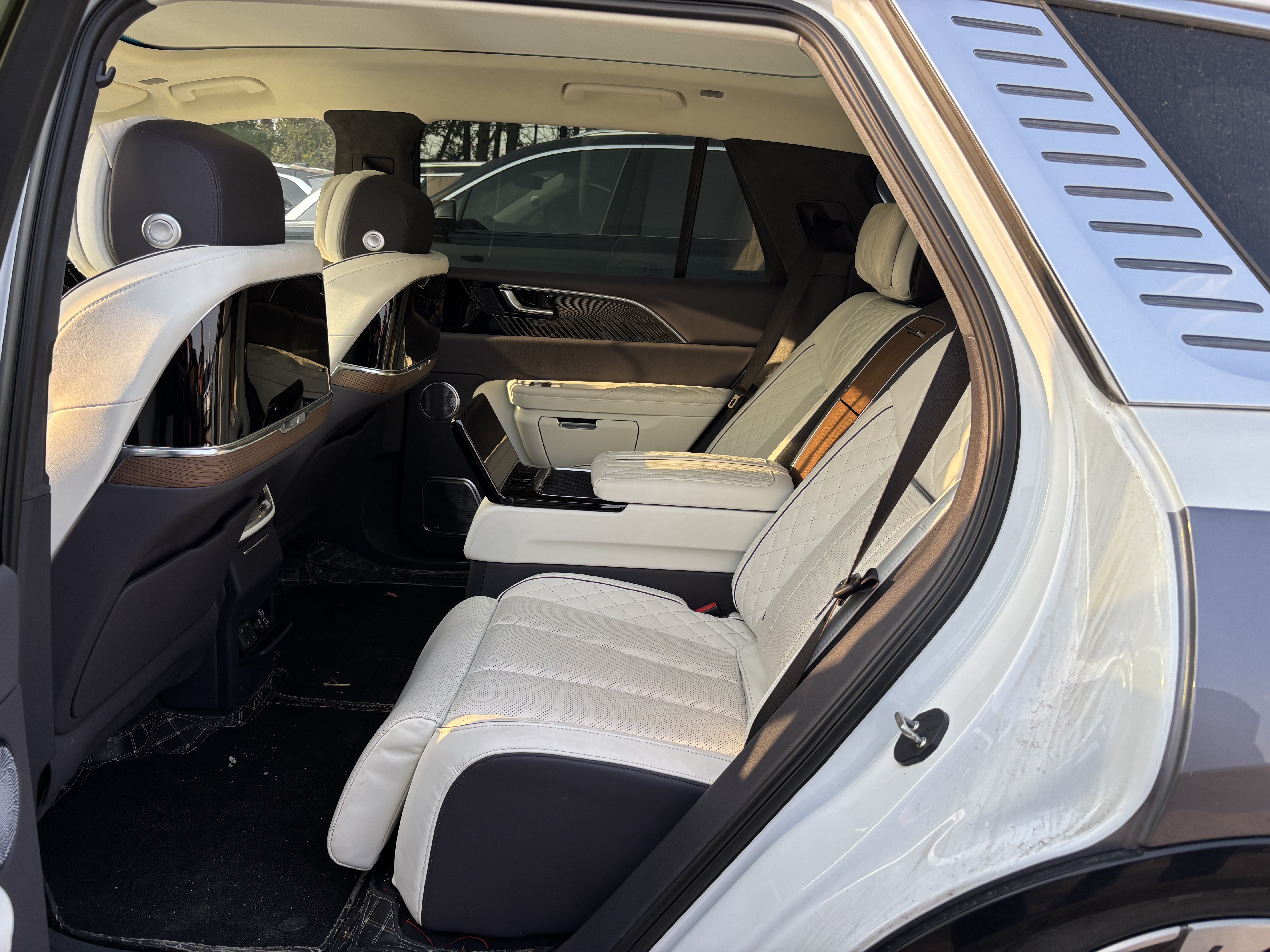 HongQi E-HS9 2023 #8 HongQi E-HS9 2023 car image #8