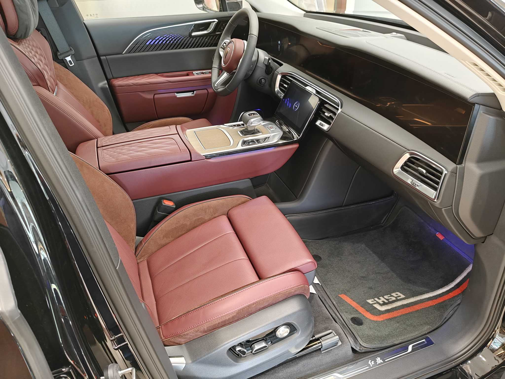 HongQi E-HS9 2026 car image #8