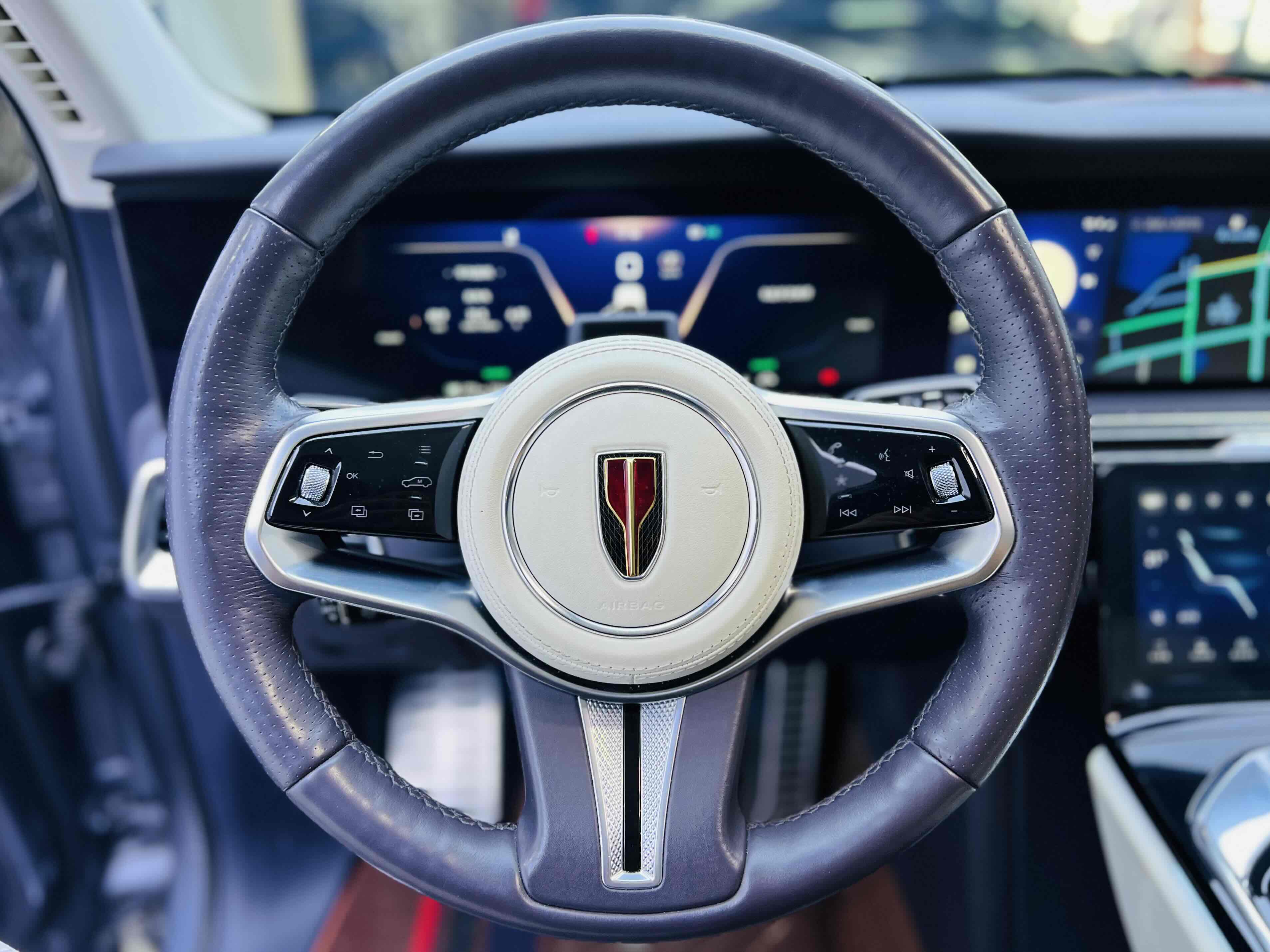 HongQi E-HS9 2022 car image #8