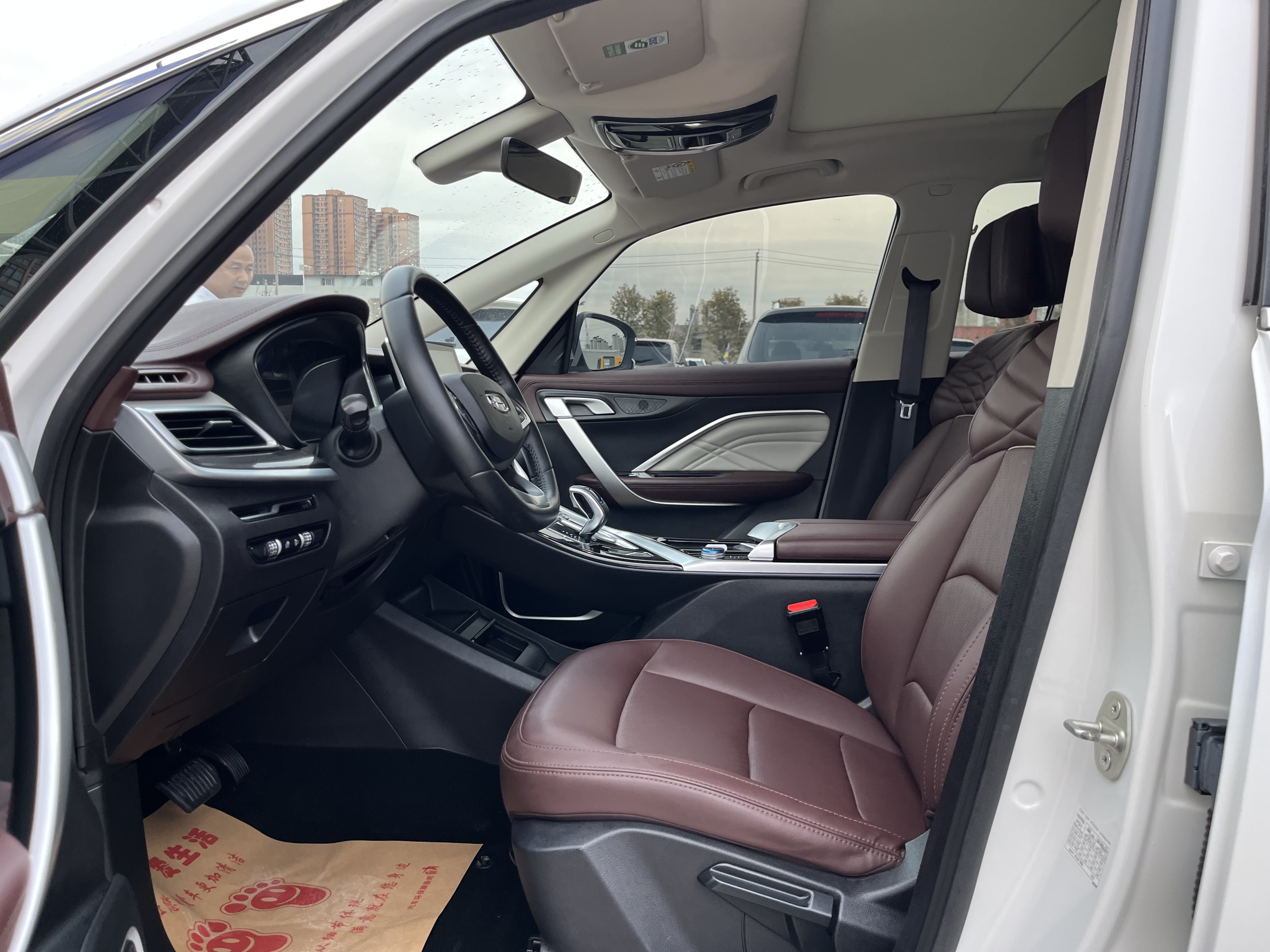 GEELY JiaJi New Energy 2022 immagine di auto #8