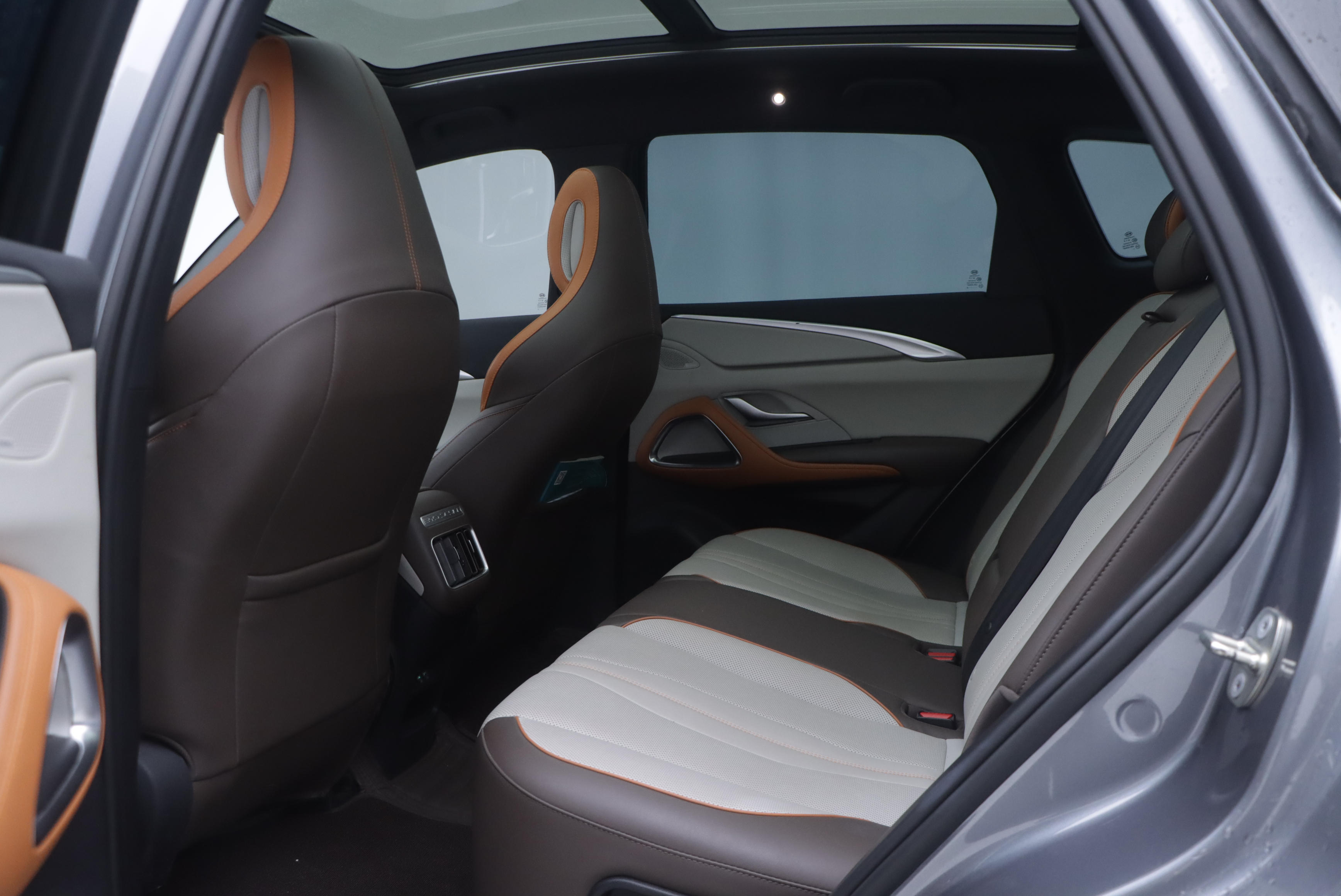 BYD Song Pro New Energy 2022 immagine di auto #8